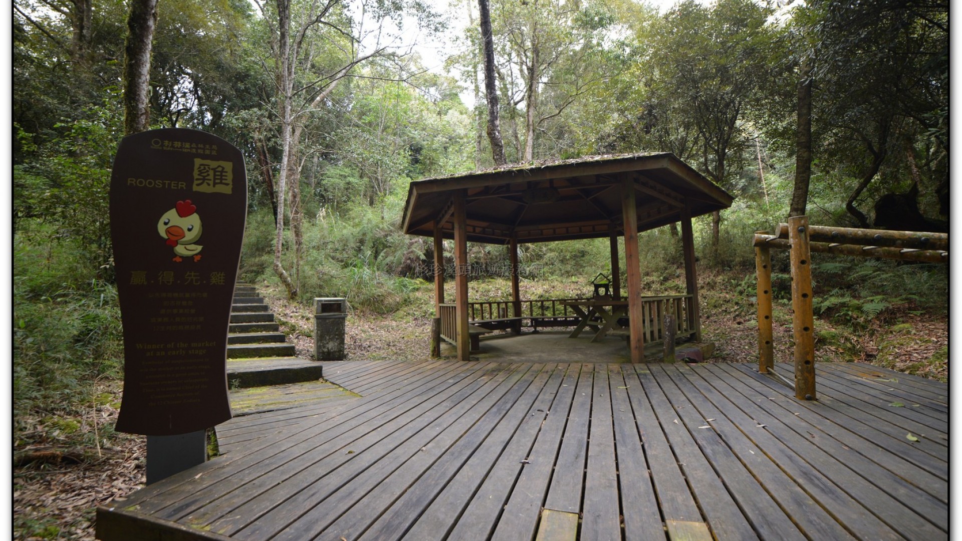 森林公園-杉林溪旅遊景點