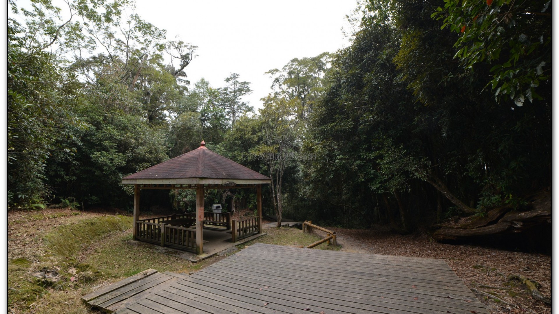 森林公園-杉林溪旅遊景點