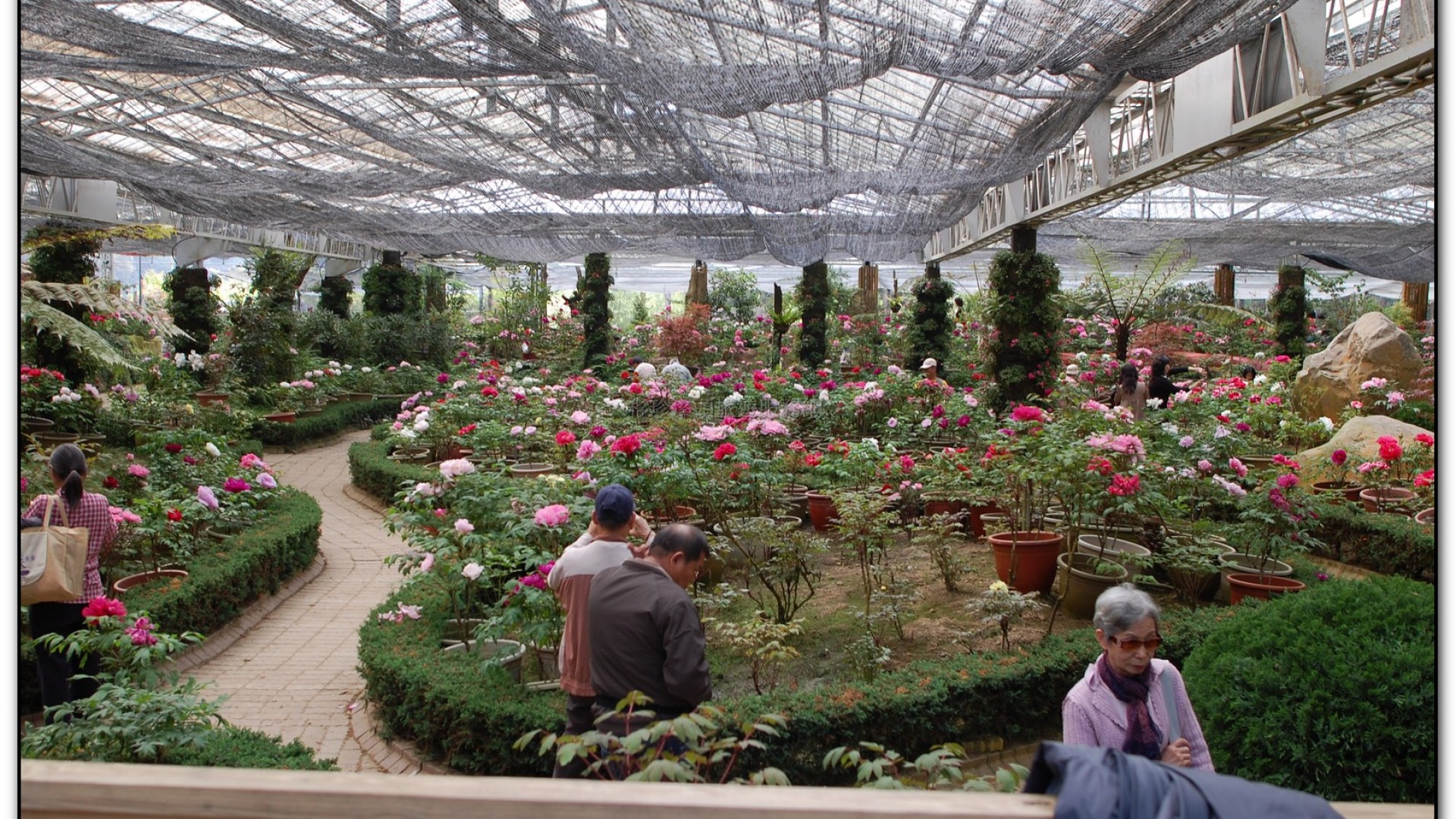 玻璃花坊-杉林溪旅遊景點