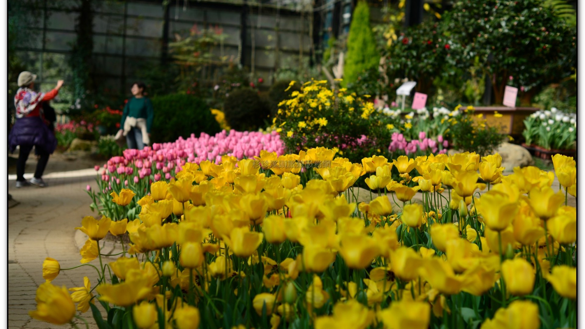 玻璃花坊-杉林溪旅遊景點