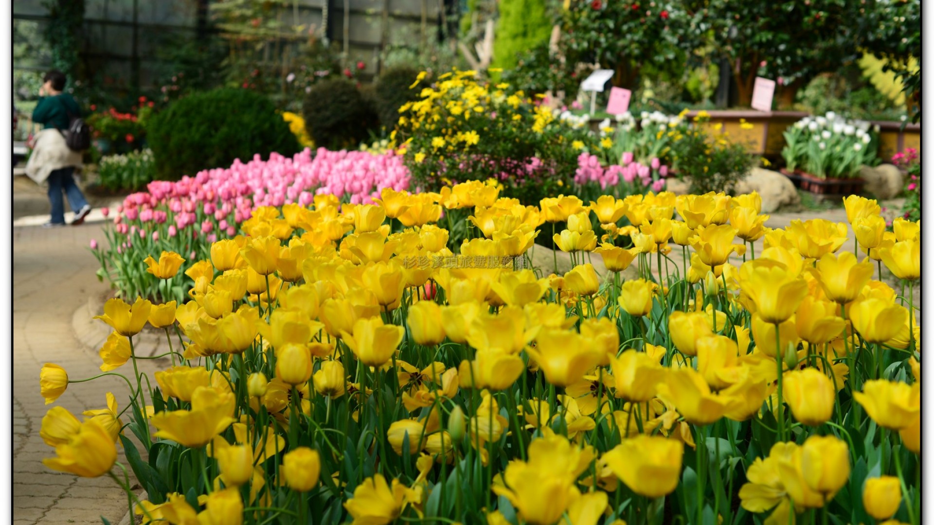 玻璃花坊-杉林溪旅遊景點