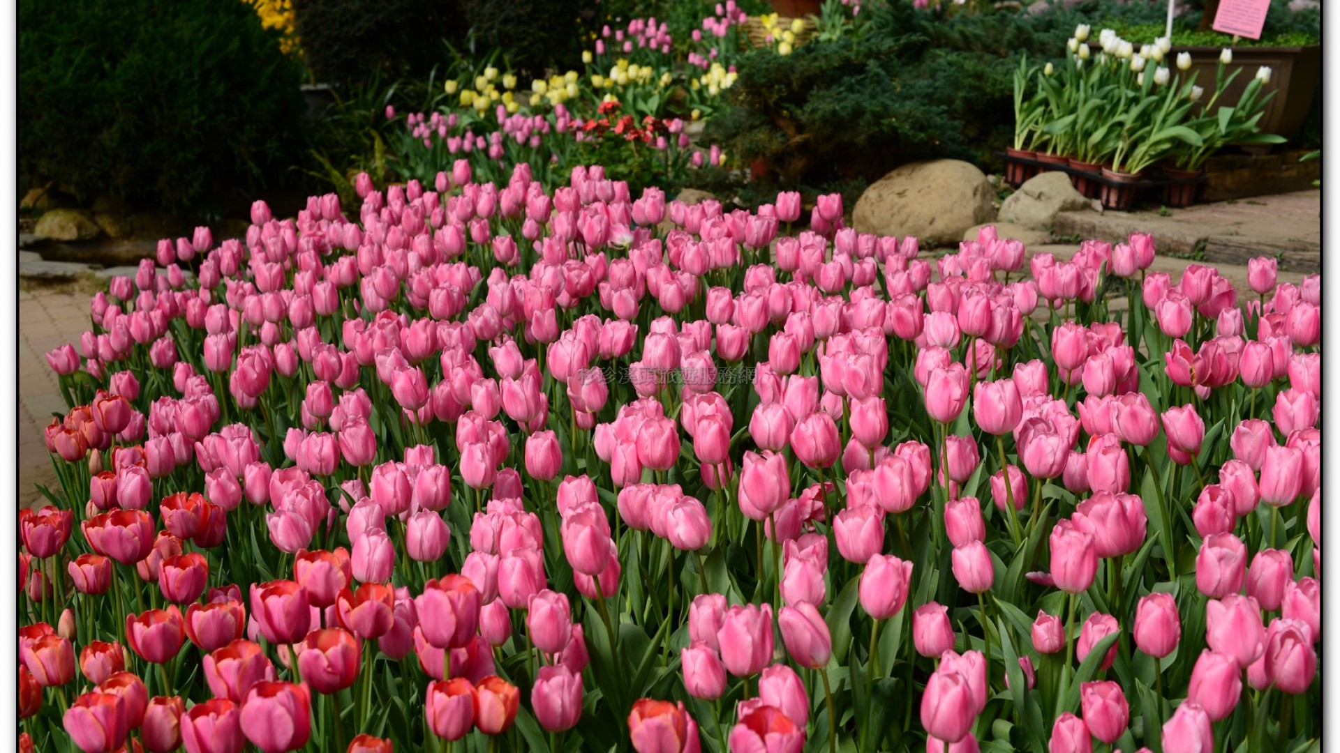 玻璃花坊-杉林溪旅遊景點