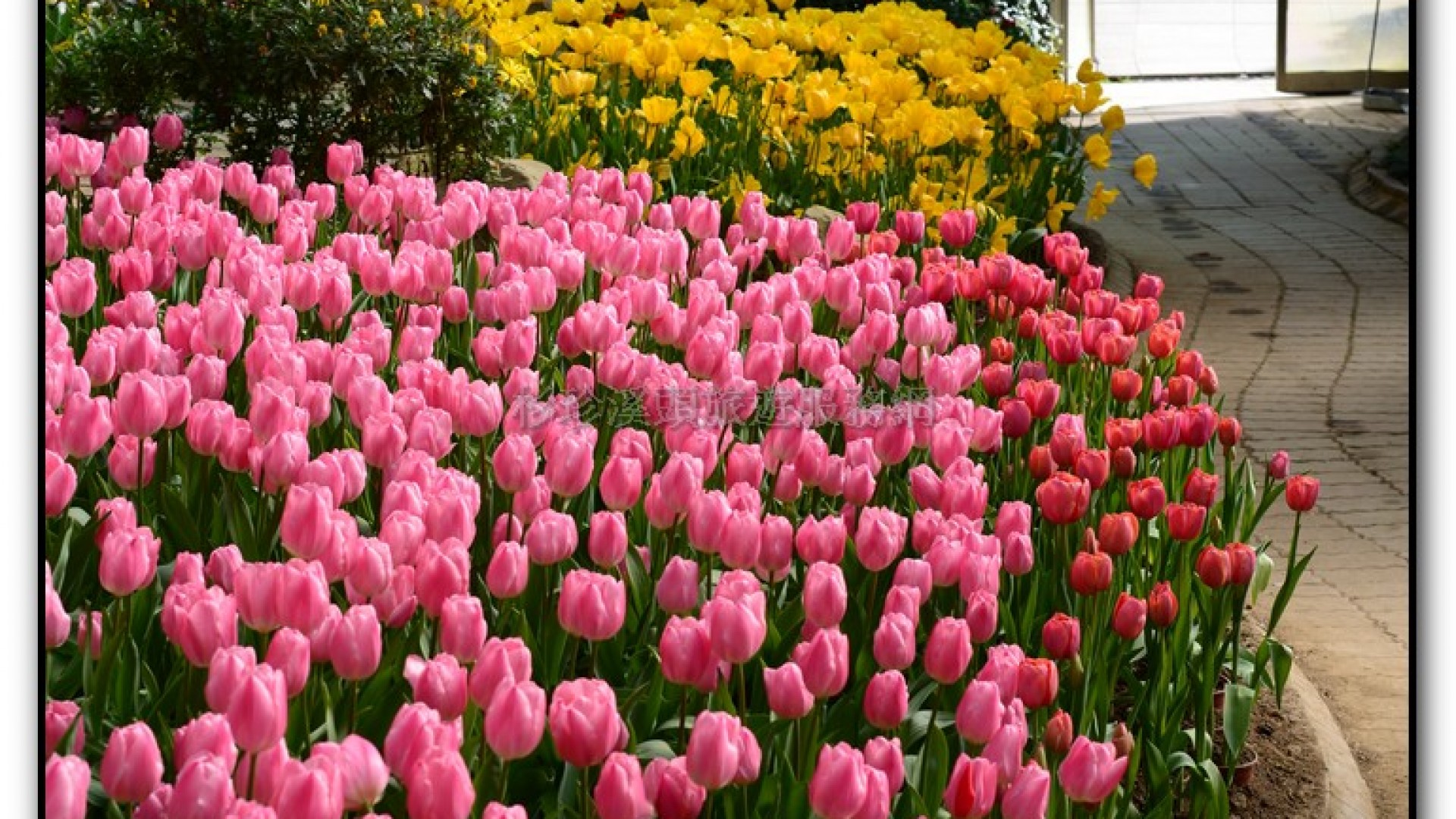 玻璃花坊-杉林溪旅遊景點