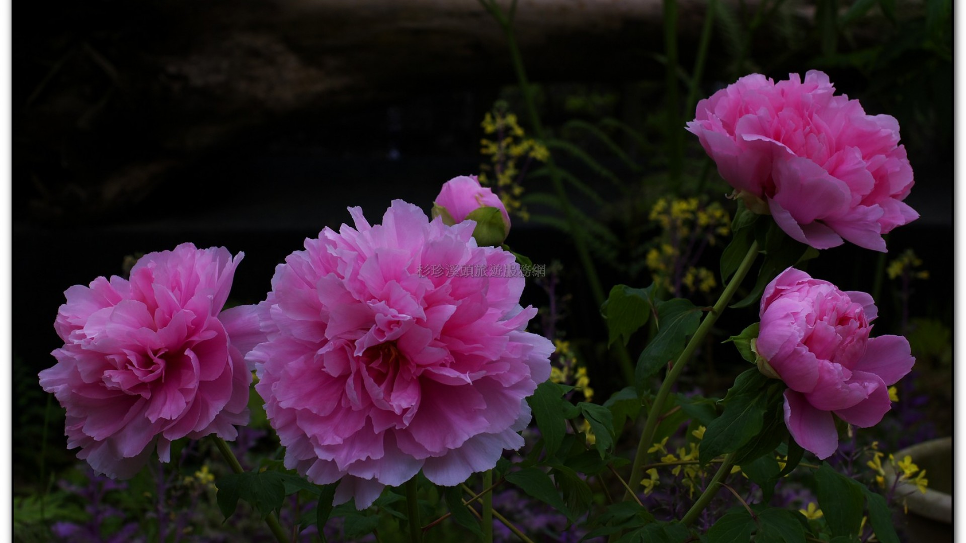 玻璃花坊-杉林溪旅遊景點