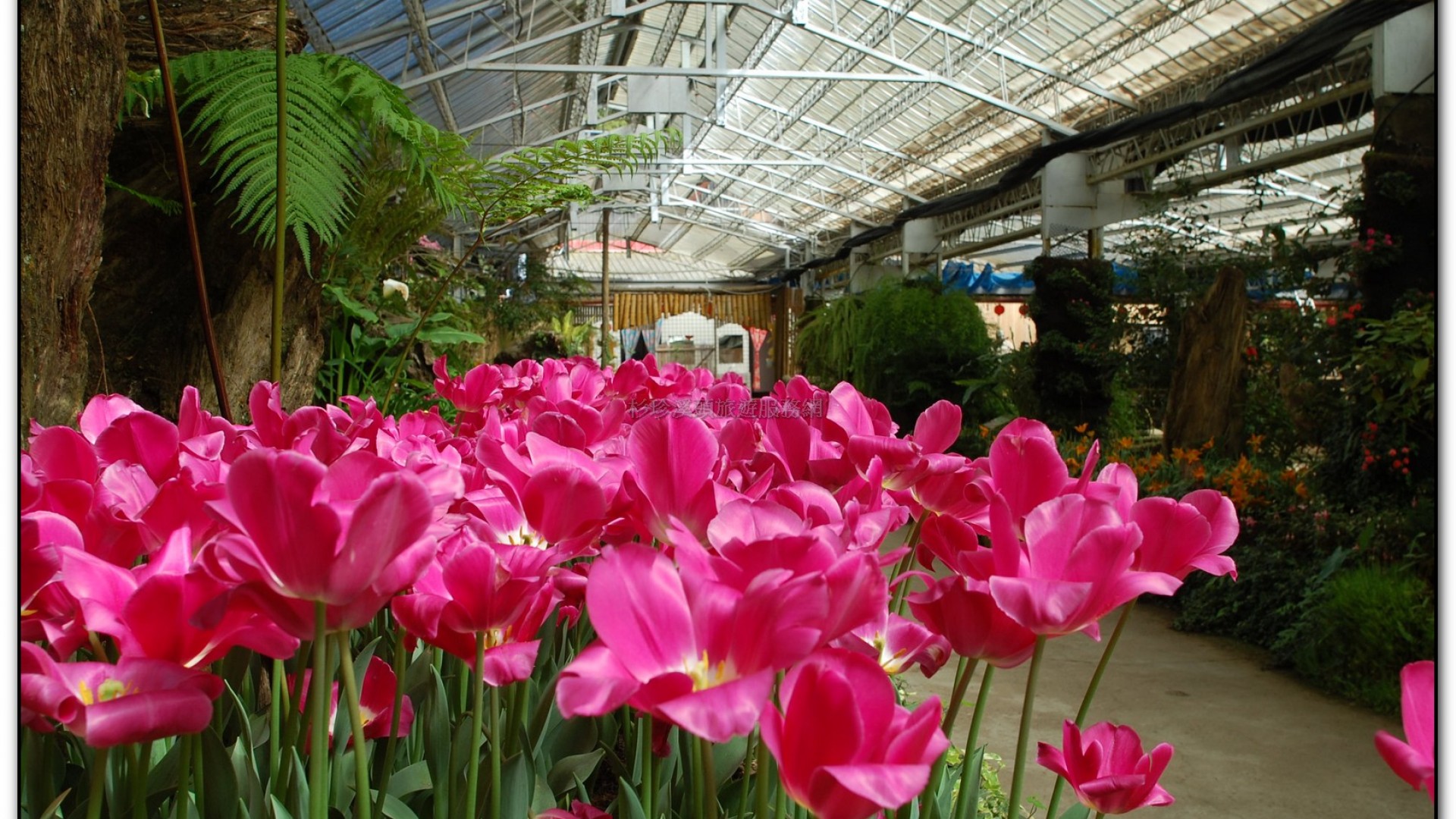 玻璃花坊-杉林溪旅遊景點