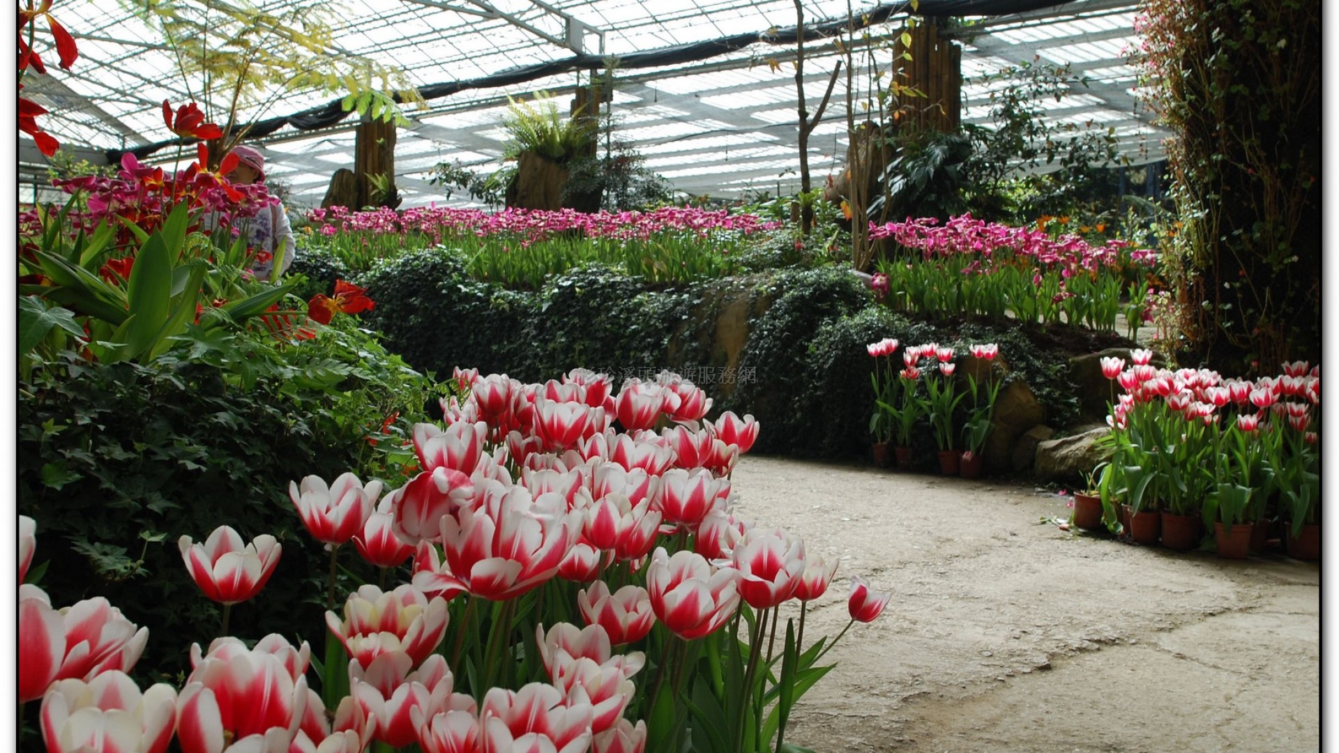 玻璃花坊-杉林溪旅遊景點