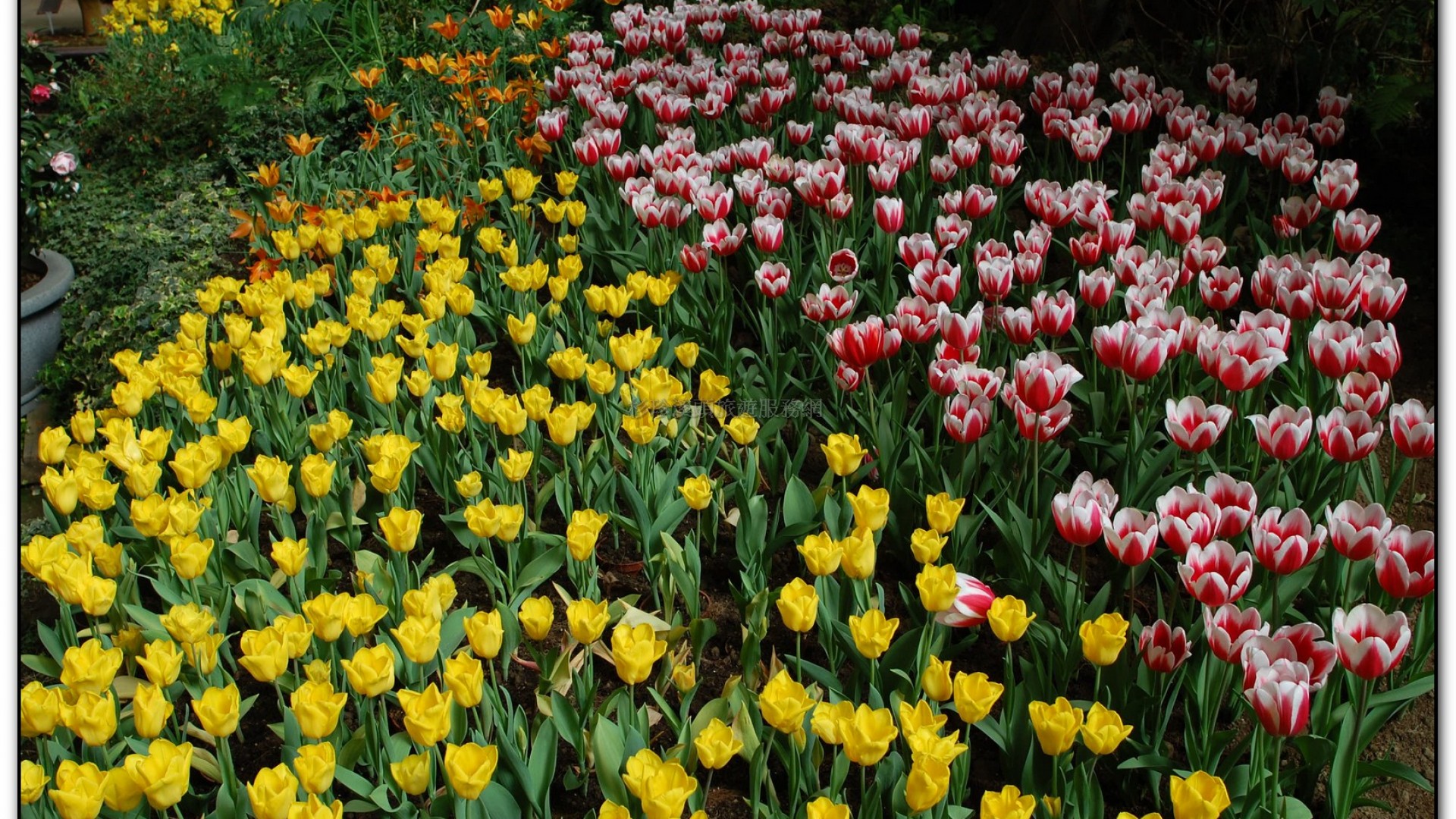 玻璃花坊-杉林溪旅遊景點