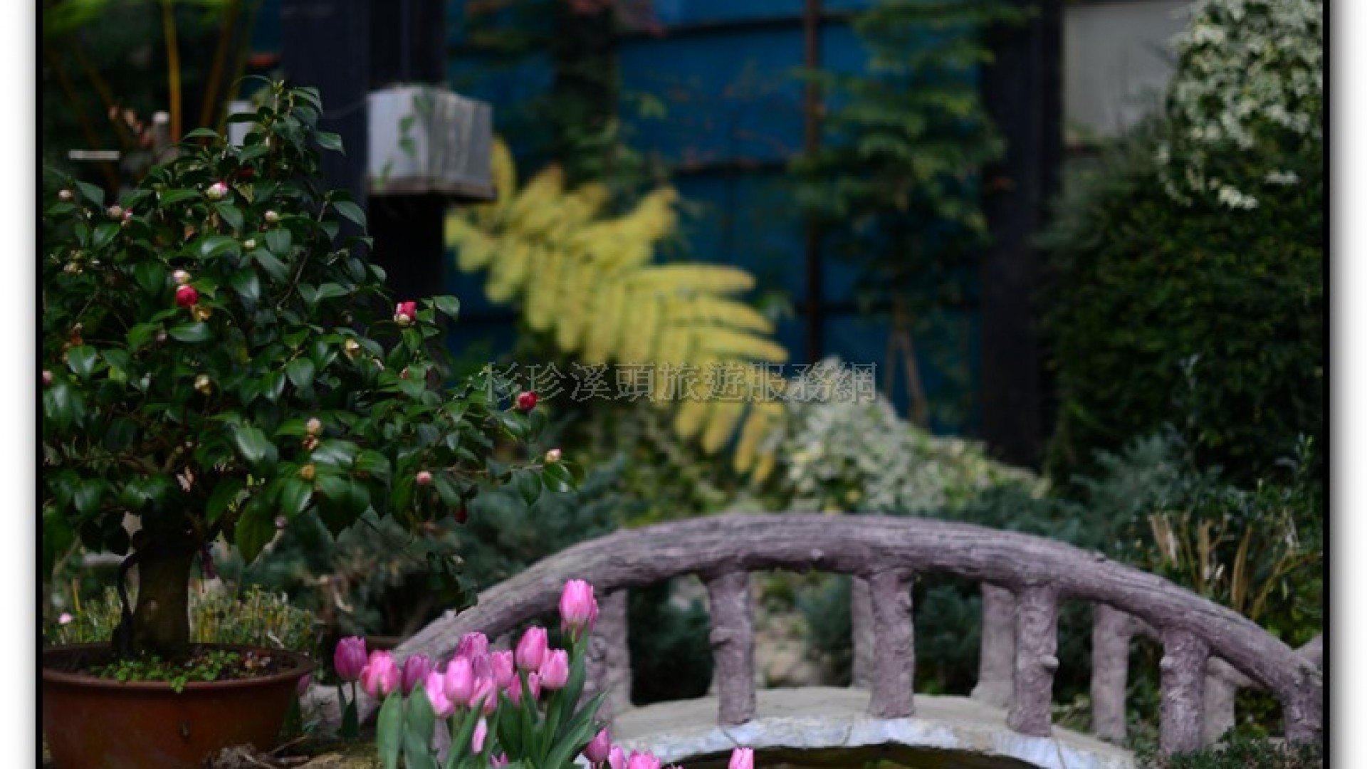 玻璃花坊-杉林溪旅遊景點