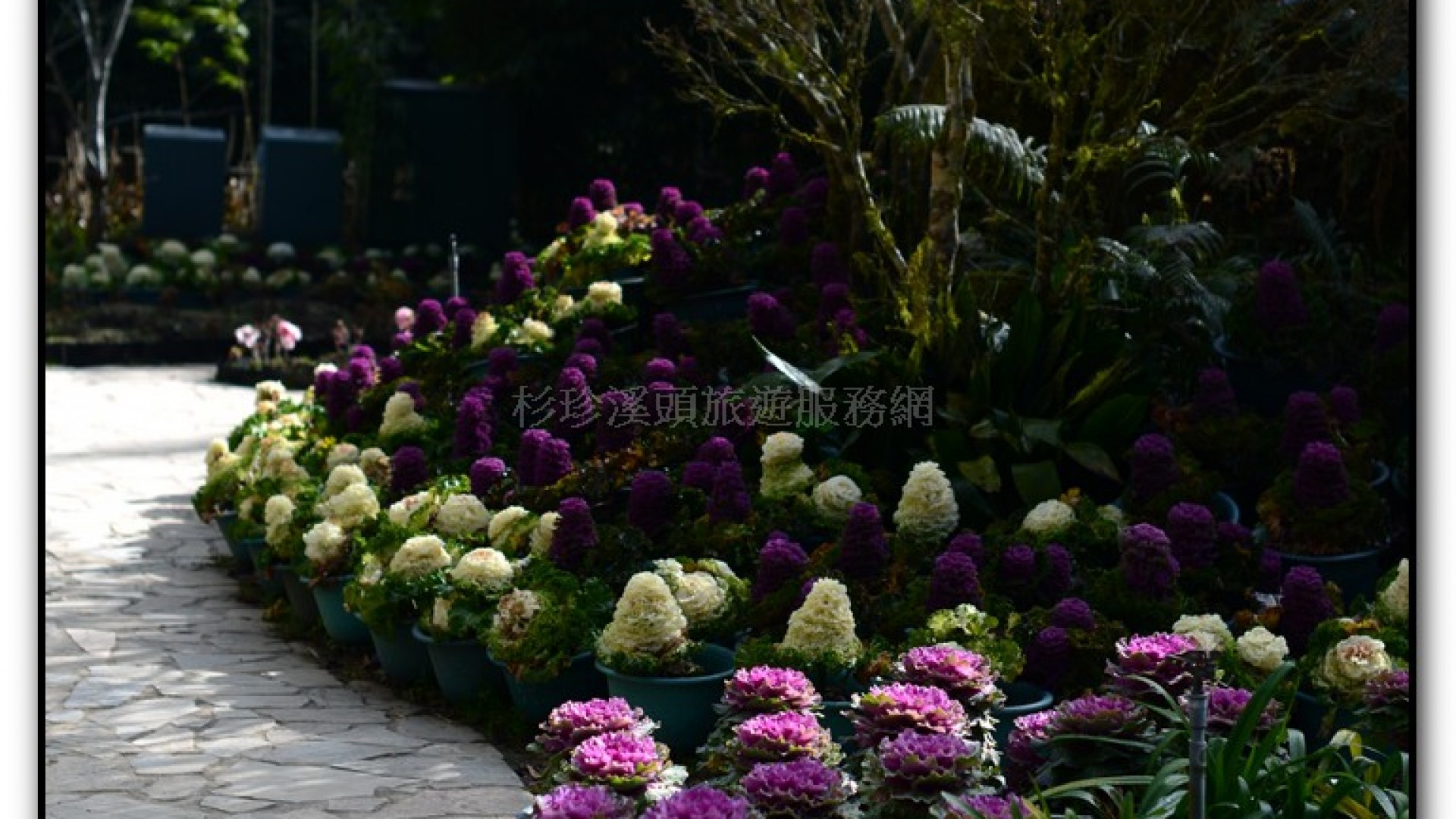 玻璃花坊-杉林溪旅遊景點