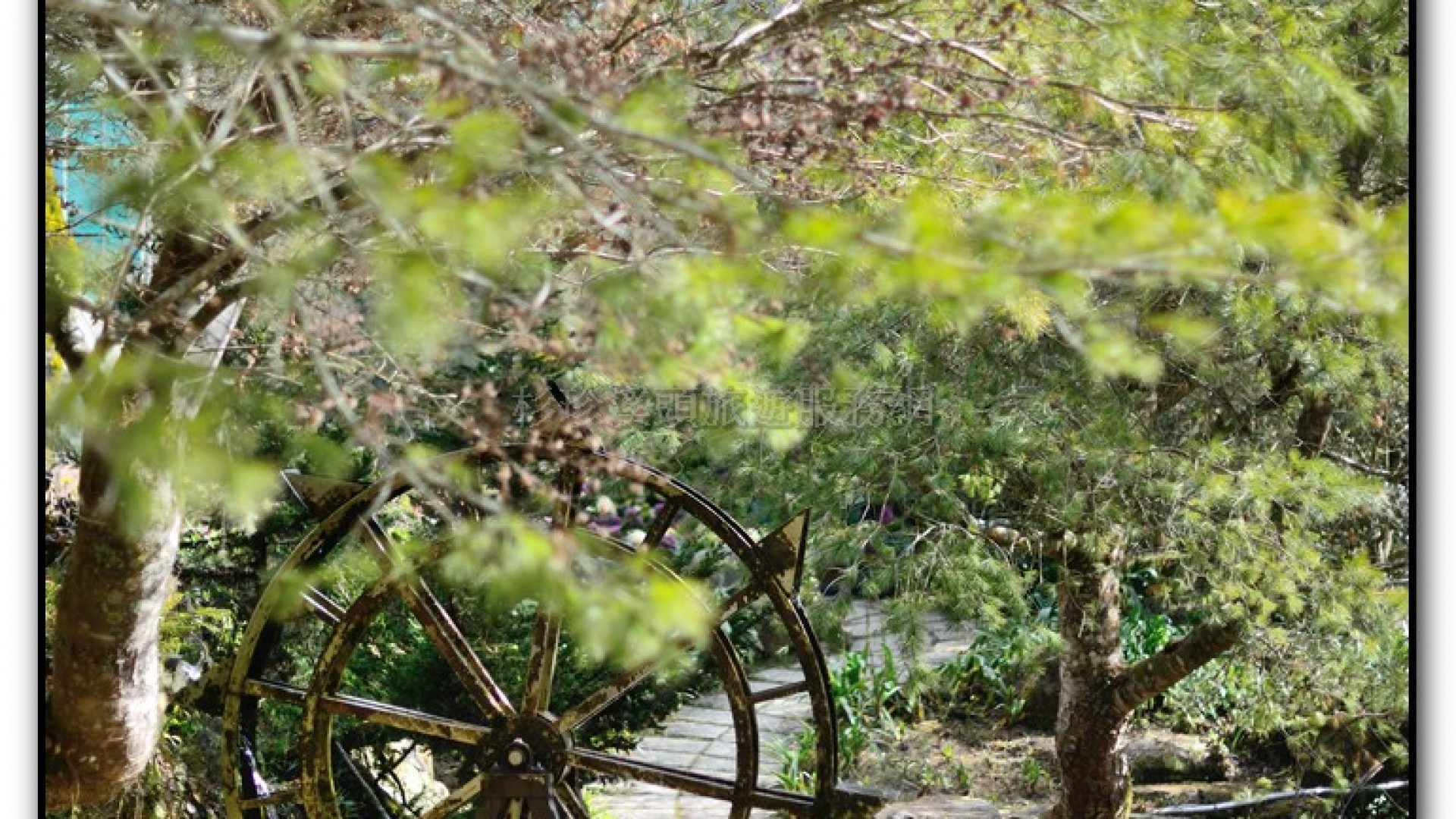 玻璃花坊-杉林溪旅遊景點