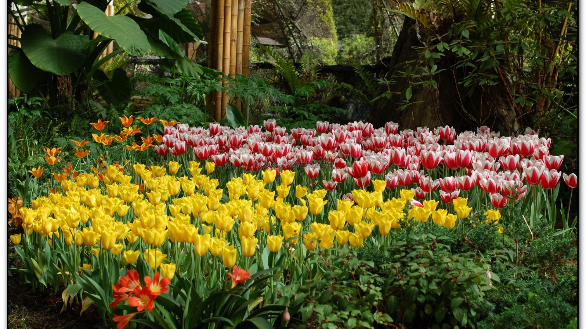 玻璃花坊-杉林溪旅遊景點