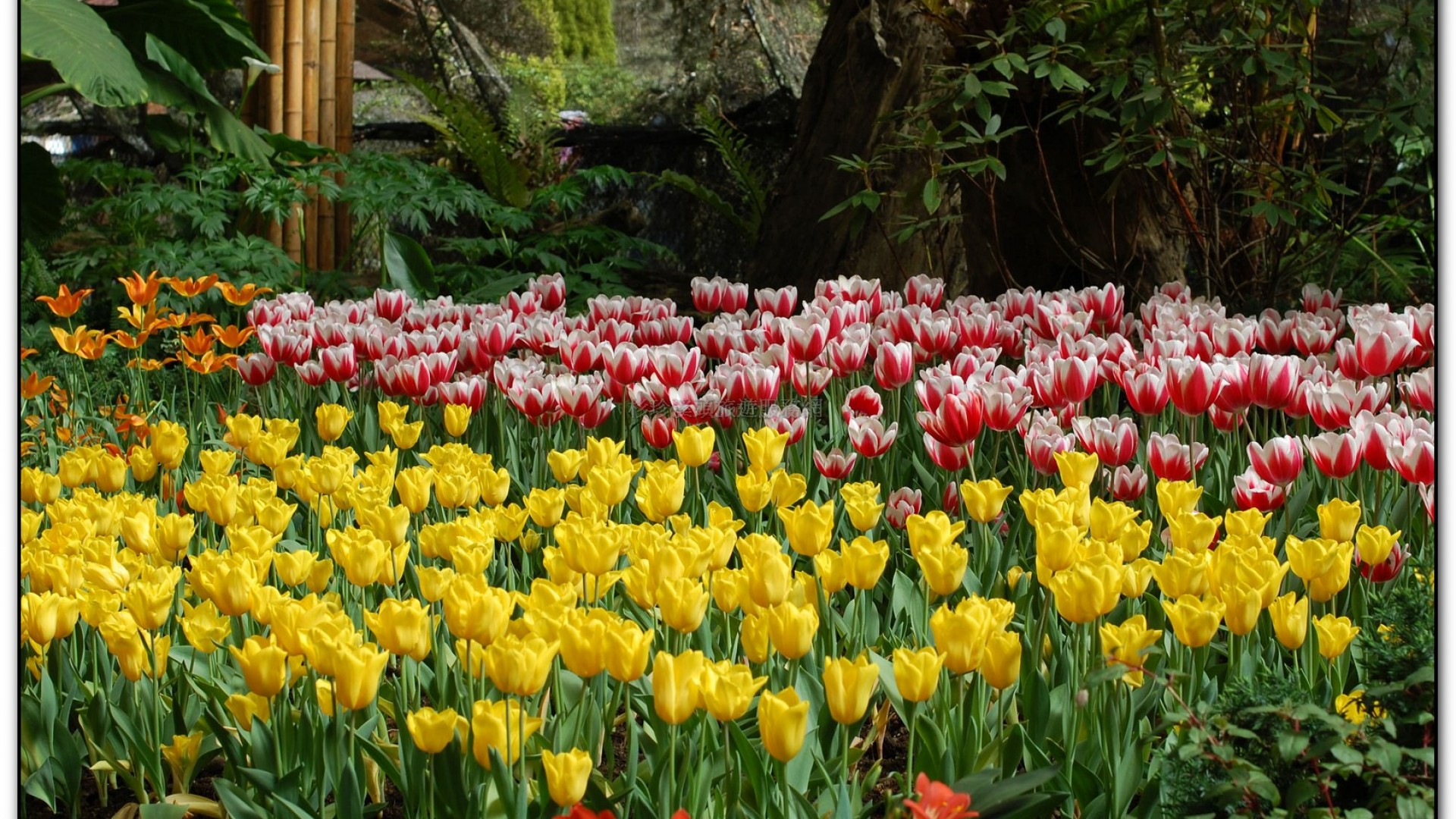 玻璃花坊-杉林溪旅遊景點