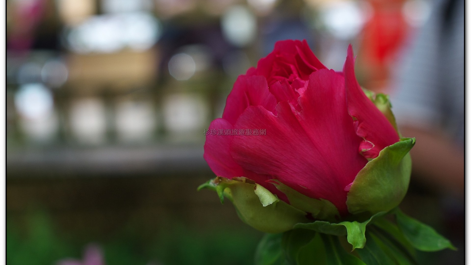 玻璃花坊-杉林溪旅遊景點