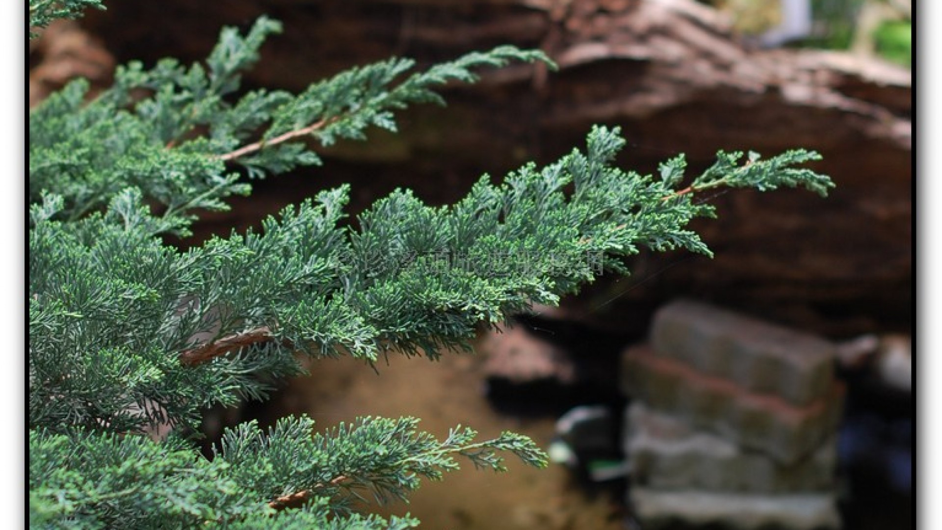 玻璃花坊-杉林溪旅遊景點