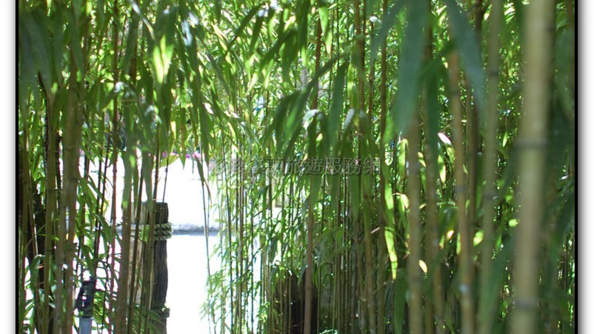 玻璃花坊-杉林溪旅遊景點