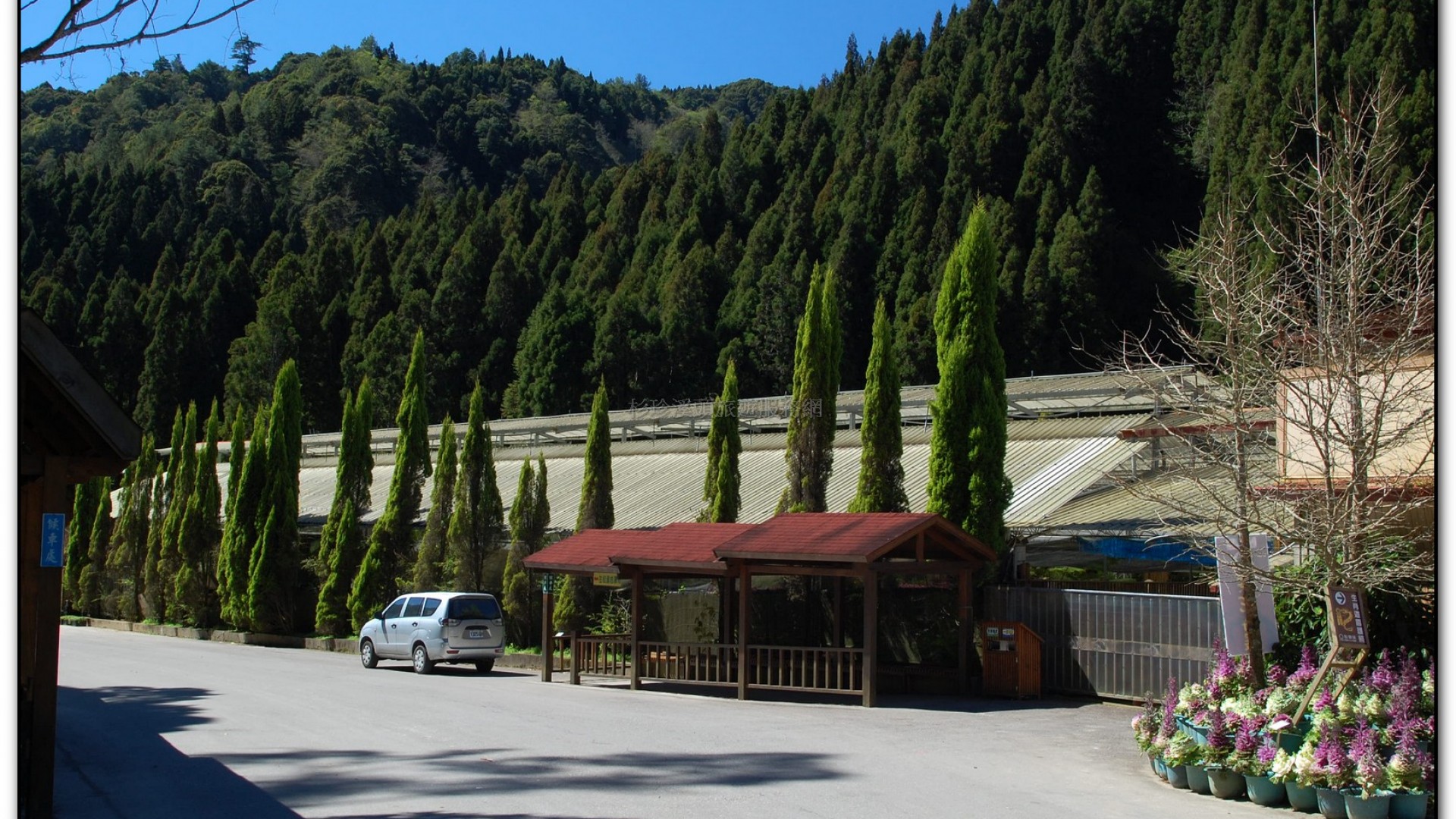 玻璃花坊-杉林溪旅遊景點
