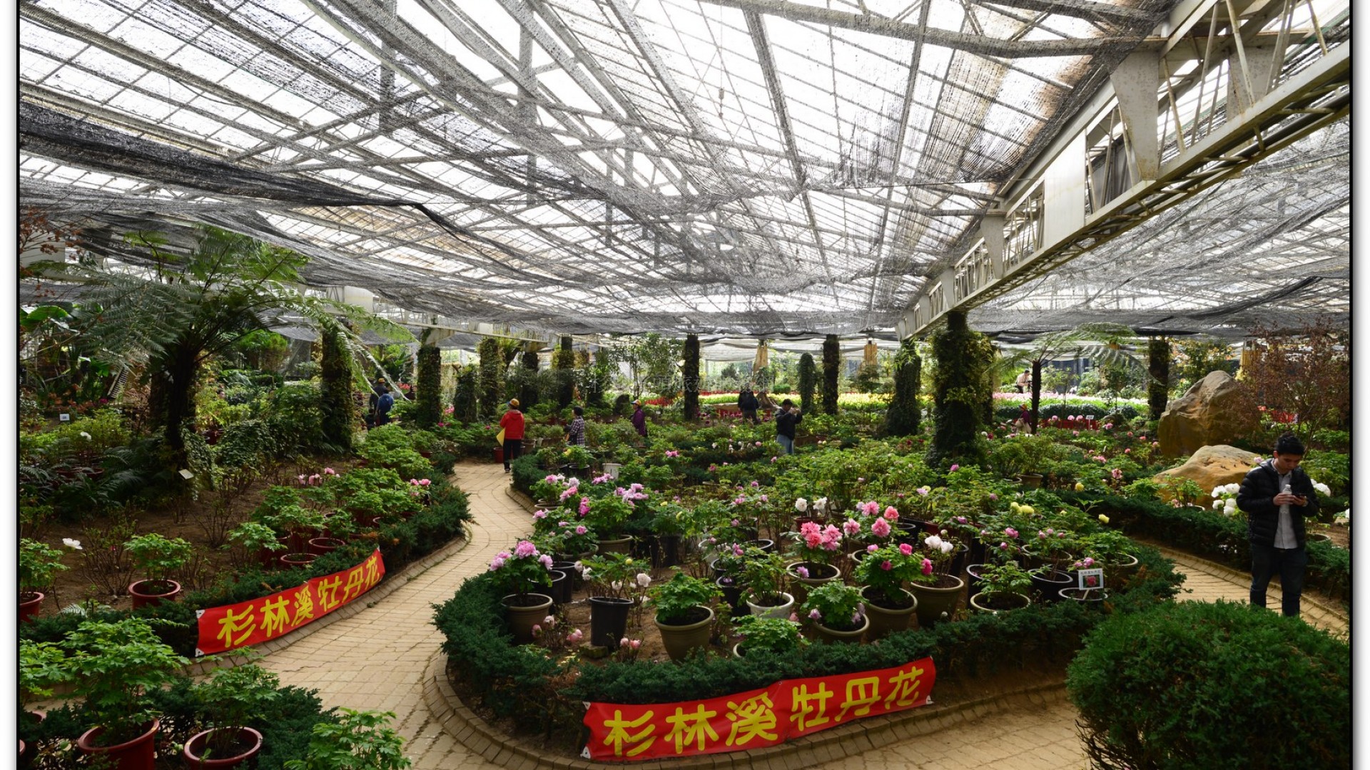 玻璃花坊-杉林溪旅遊景點