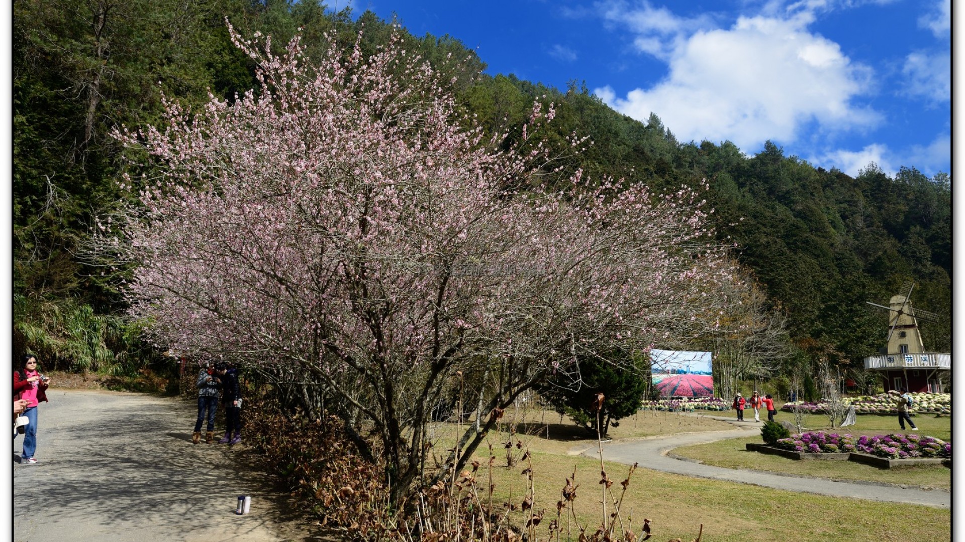玻璃花坊-杉林溪旅遊景點