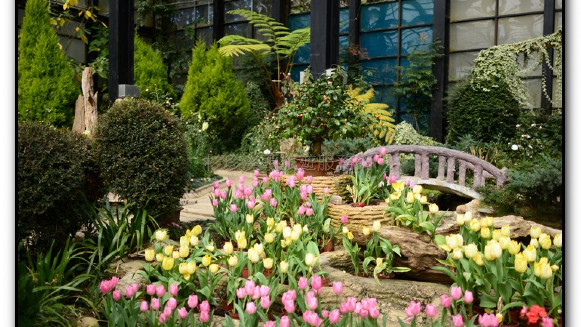 玻璃花坊-杉林溪旅遊景點