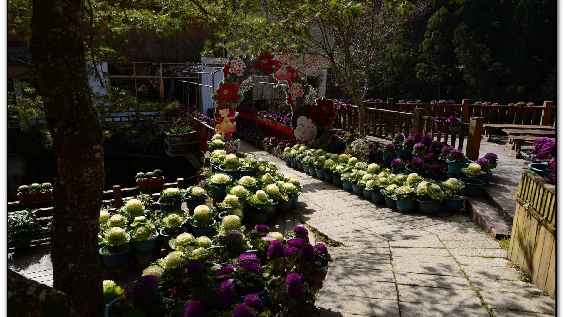 玻璃花坊-杉林溪旅遊景點