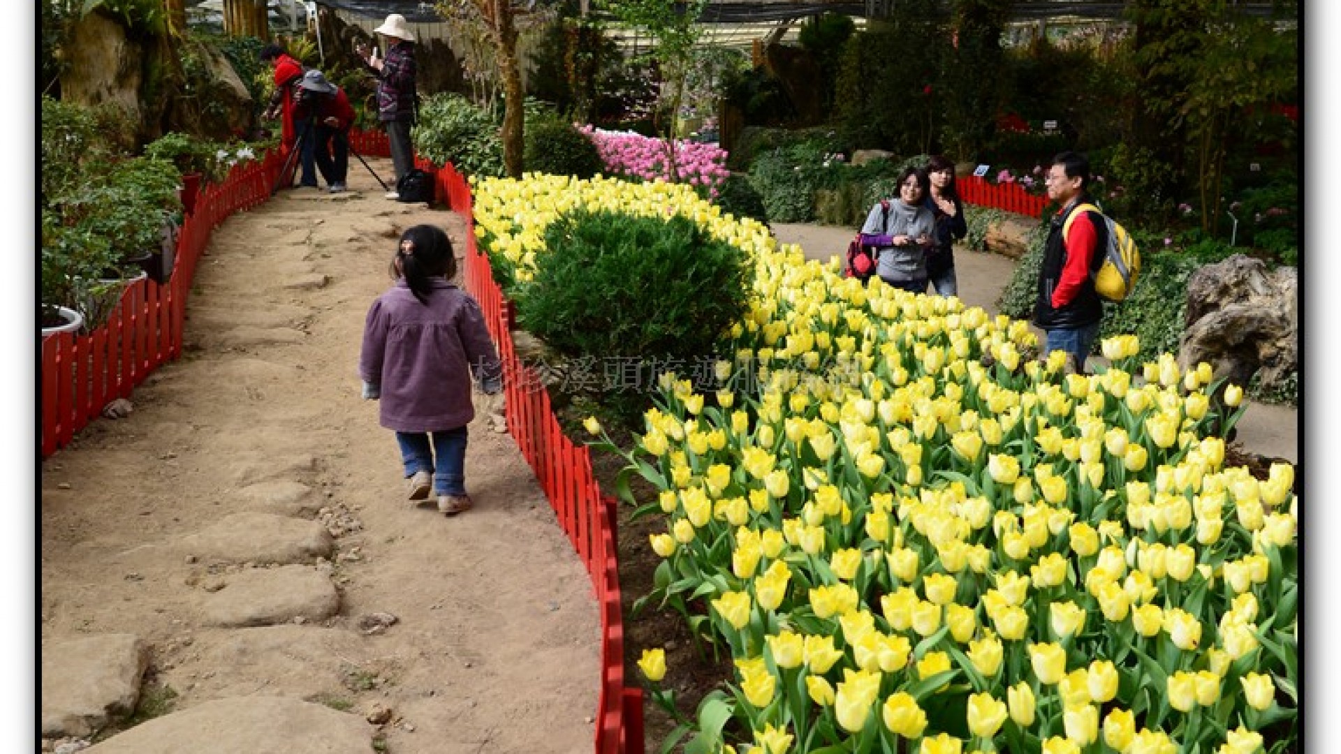 玻璃花坊-杉林溪旅遊景點