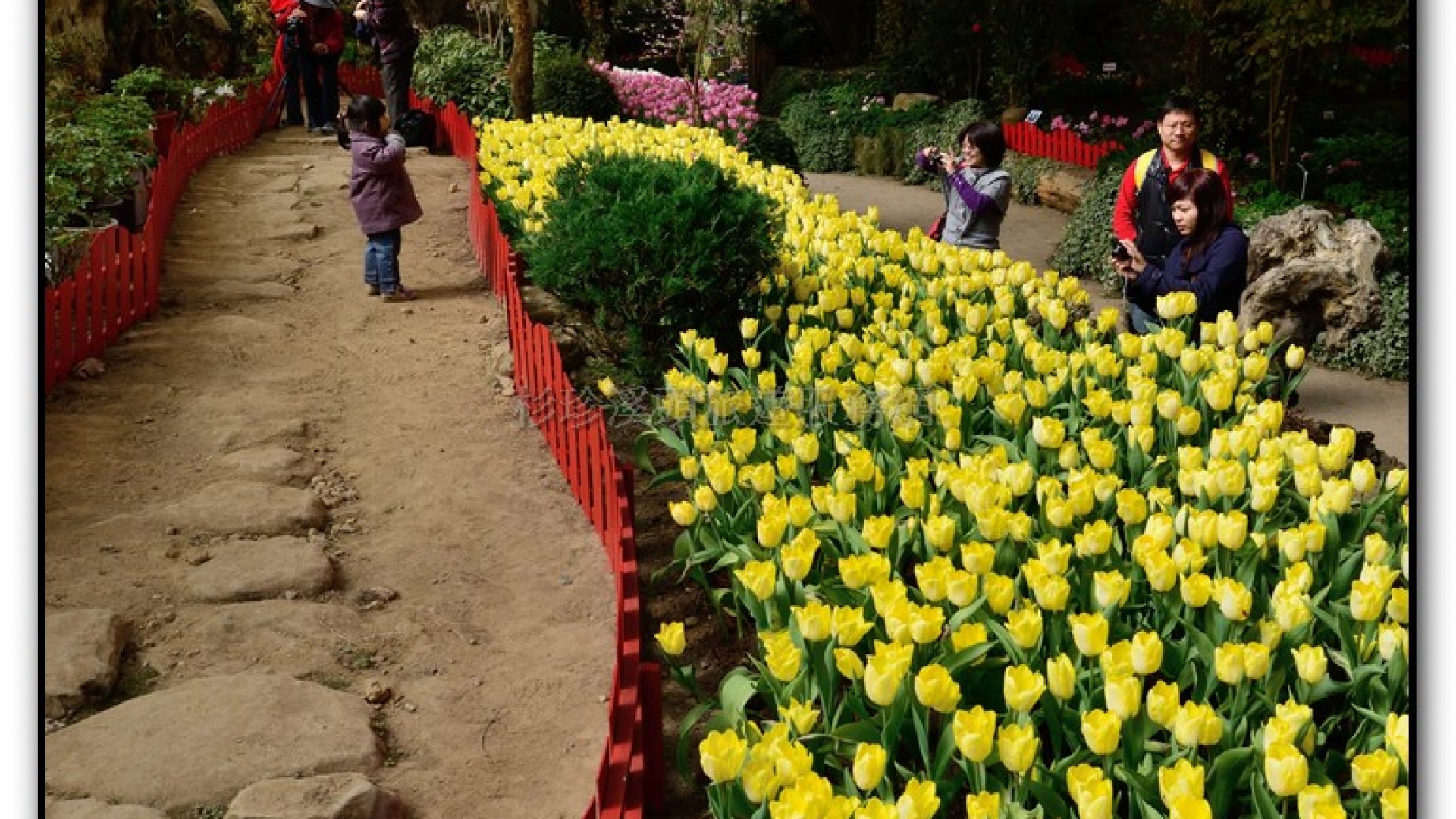 玻璃花坊-杉林溪旅遊景點