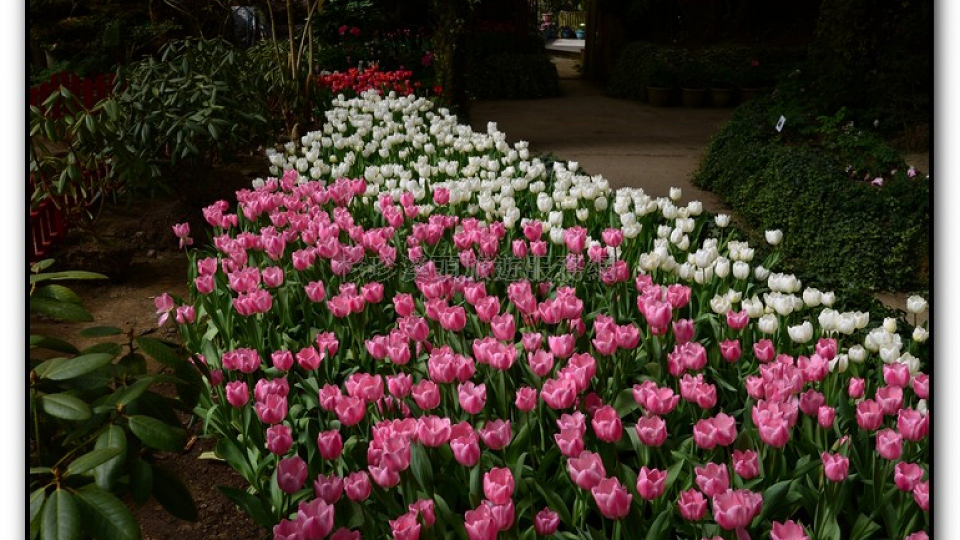 玻璃花坊-杉林溪旅遊景點