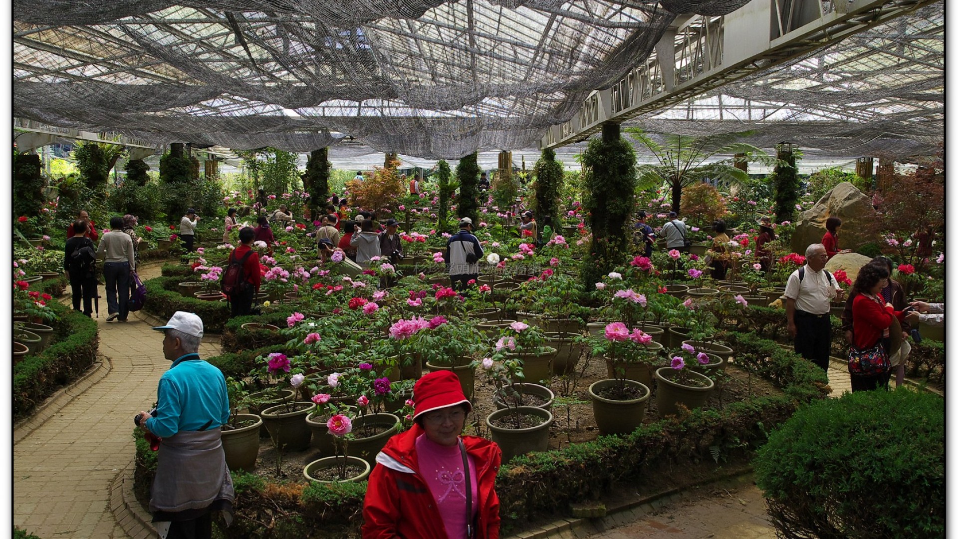 玻璃花坊-杉林溪旅遊景點