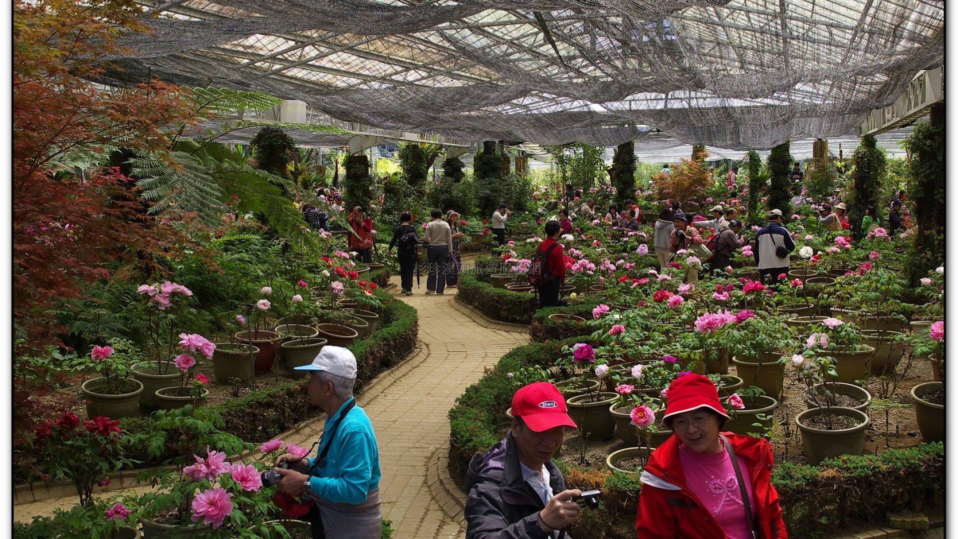 玻璃花坊-杉林溪旅遊景點