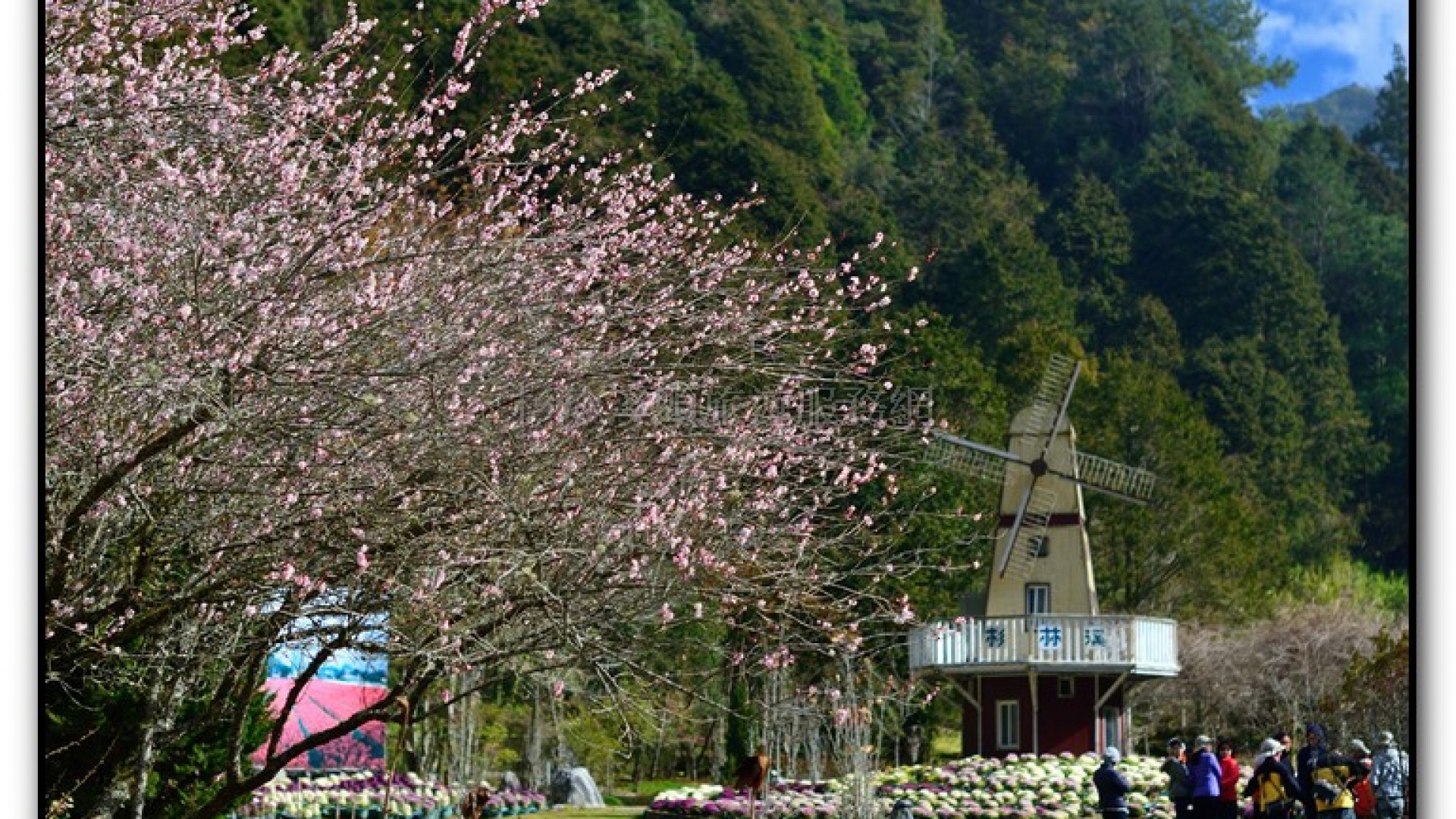藥花園-杉林溪旅遊景點