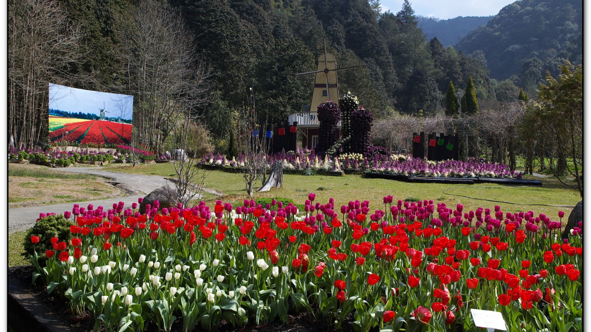 藥花園-杉林溪旅遊景點