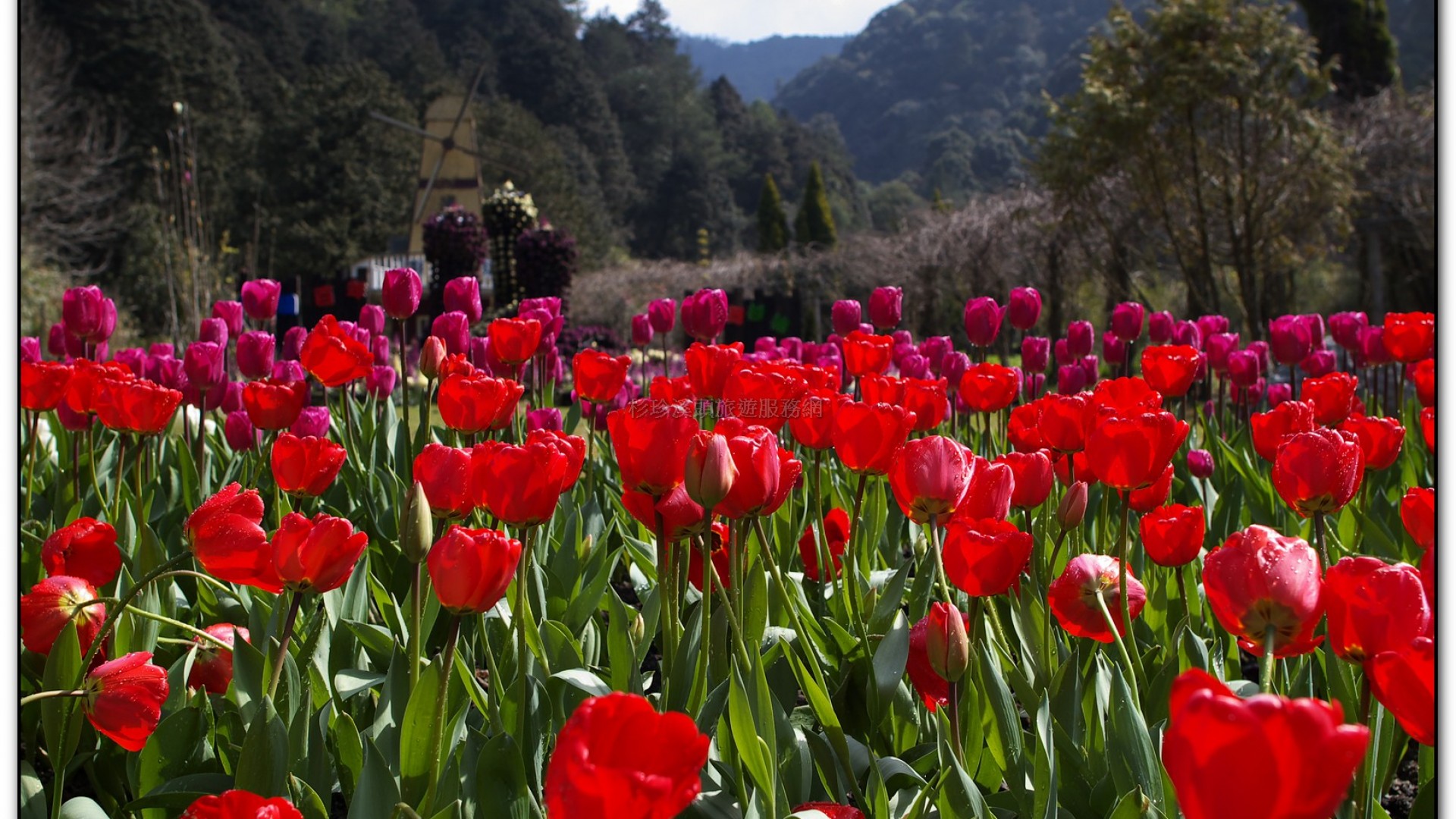 藥花園-杉林溪旅遊景點