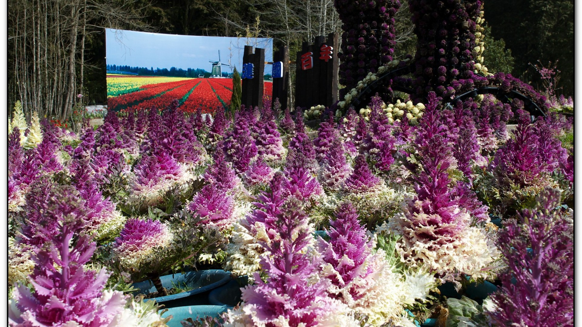 藥花園-杉林溪旅遊景點