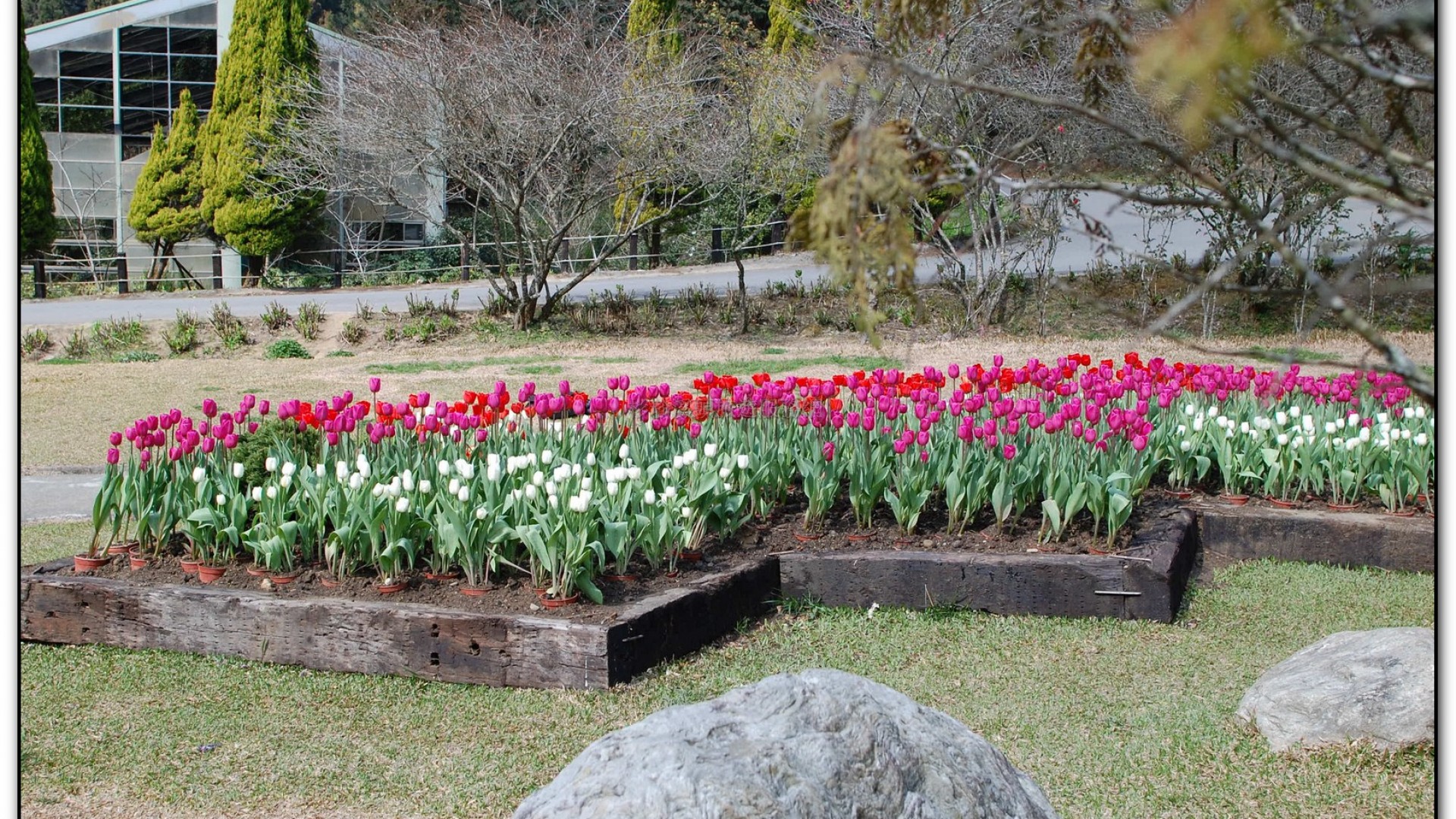 藥花園-杉林溪旅遊景點