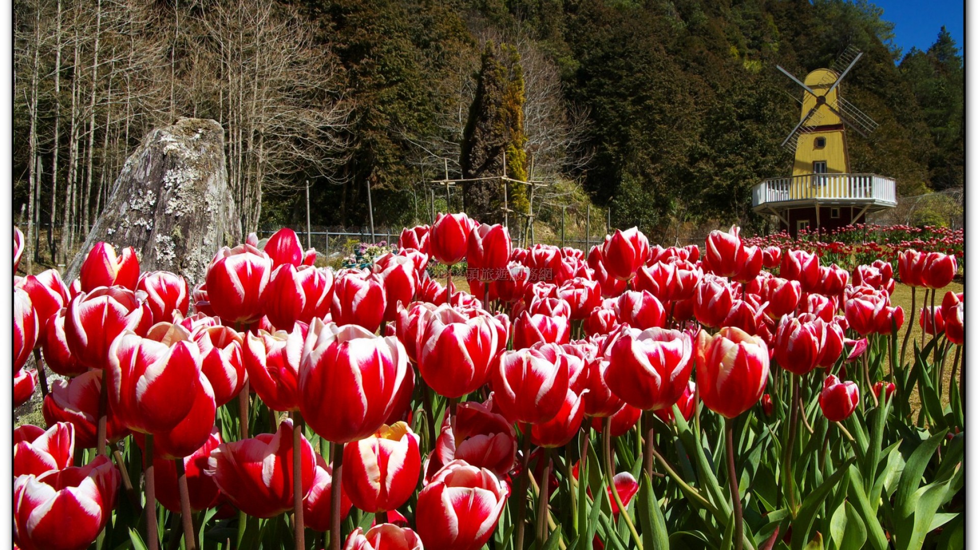 藥花園-杉林溪旅遊景點