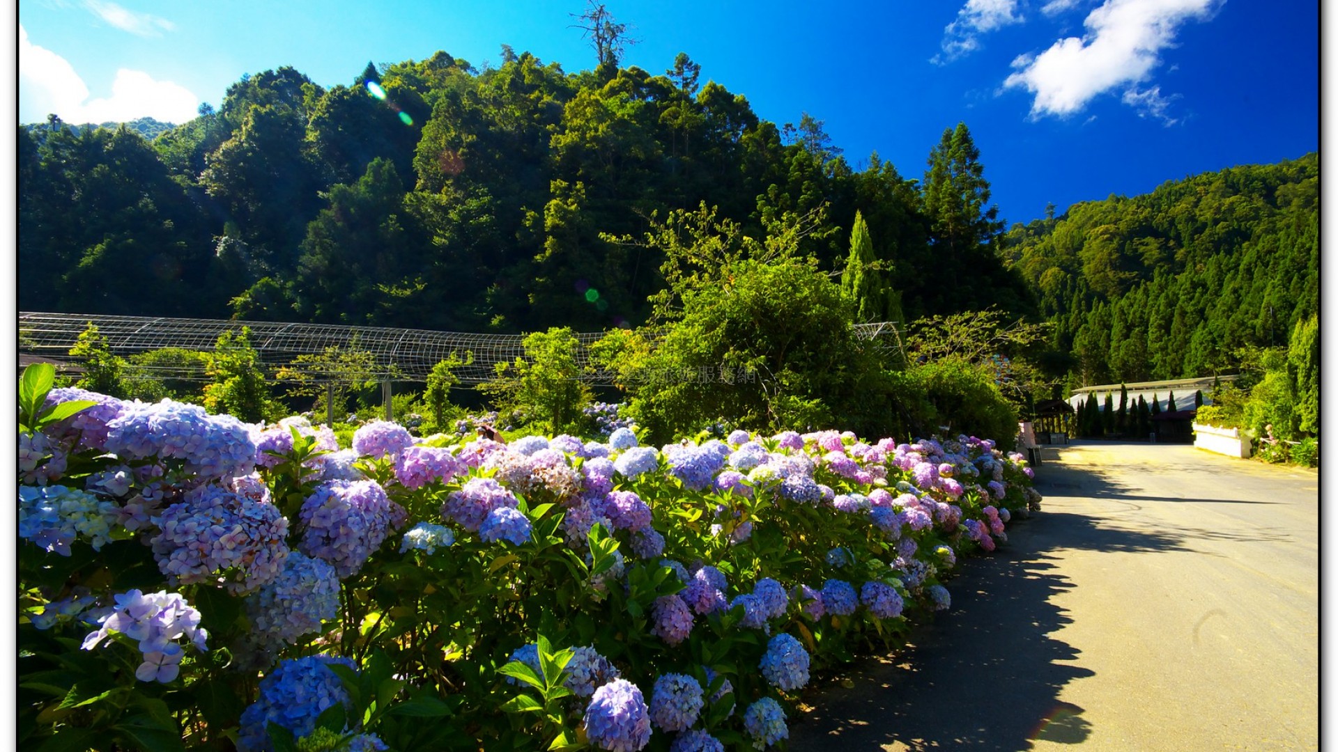 藥花園-杉林溪旅遊景點
