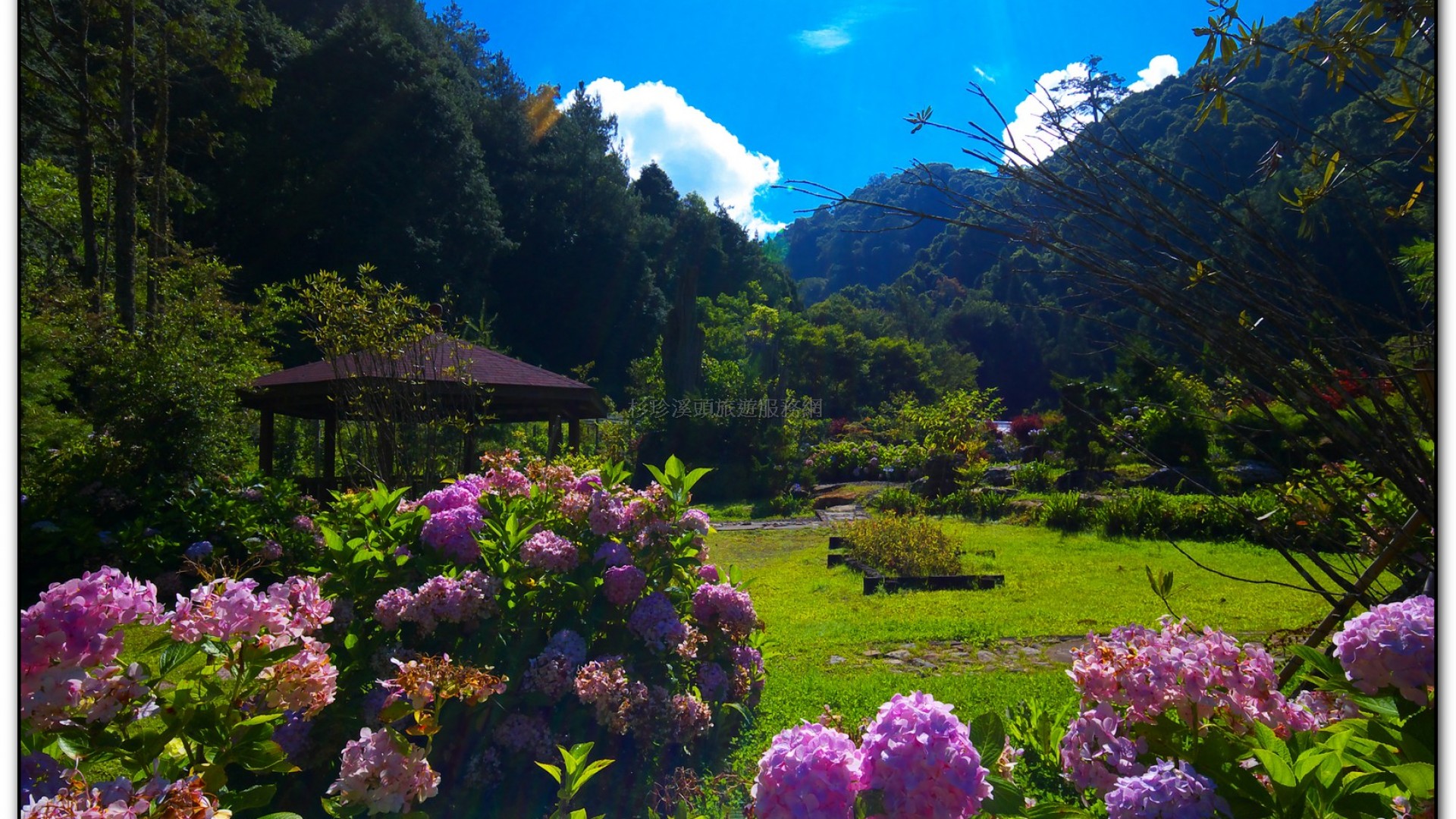 藥花園-杉林溪旅遊景點
