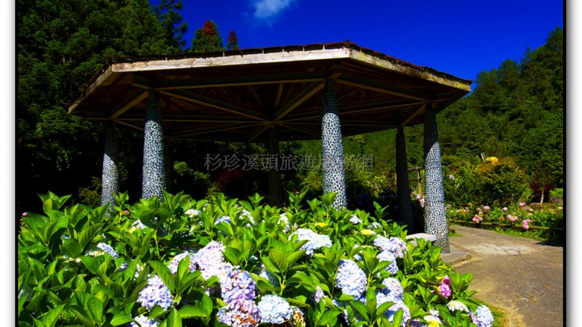 藥花園-杉林溪旅遊景點