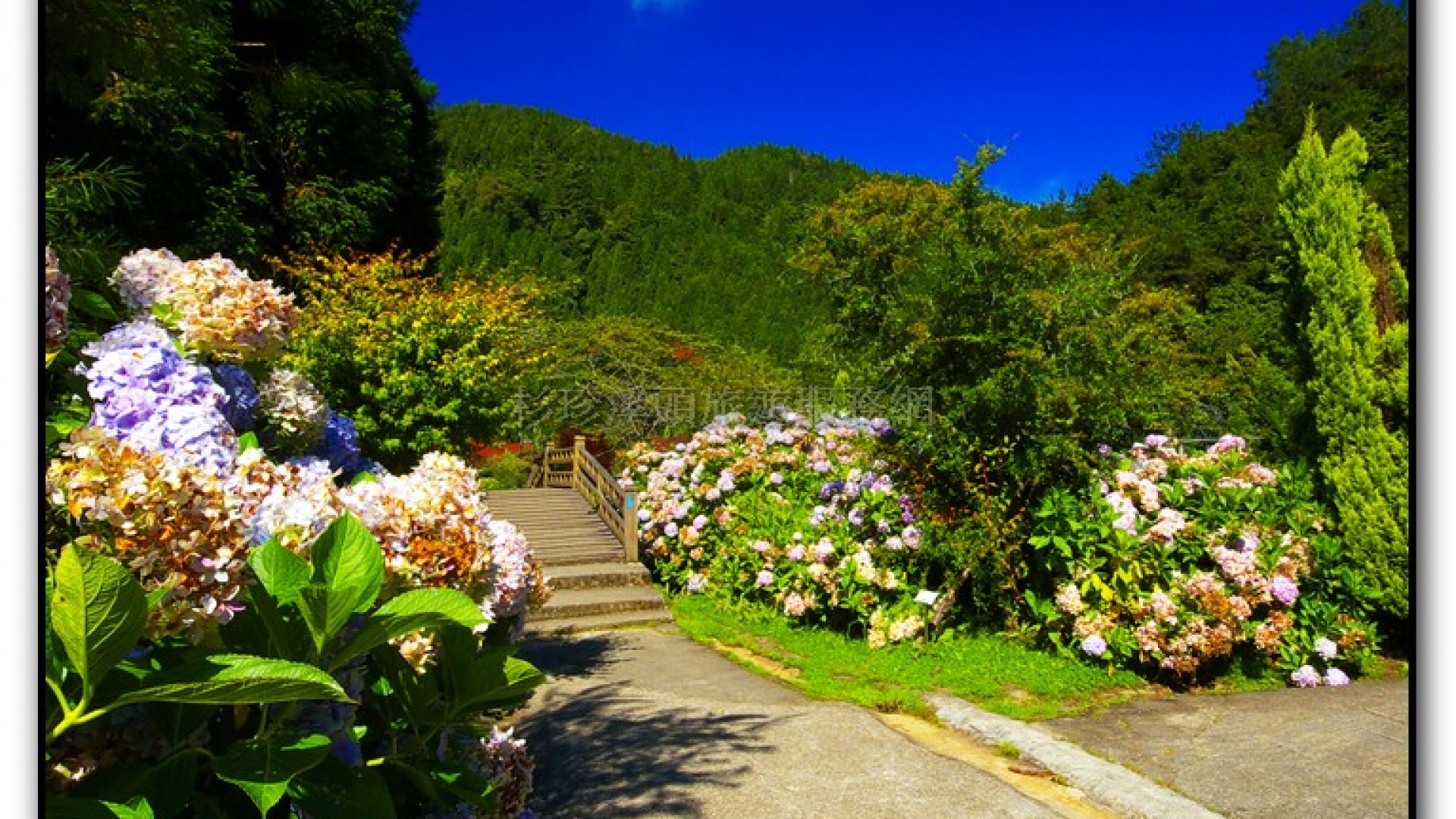 藥花園-杉林溪旅遊景點