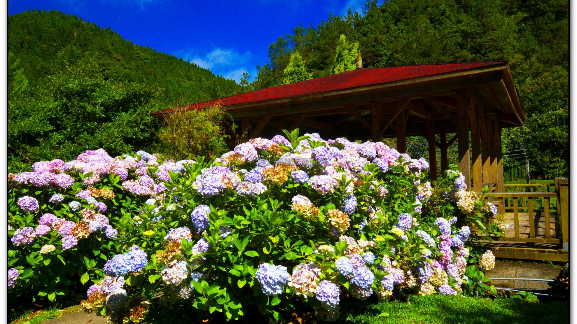 藥花園-杉林溪旅遊景點