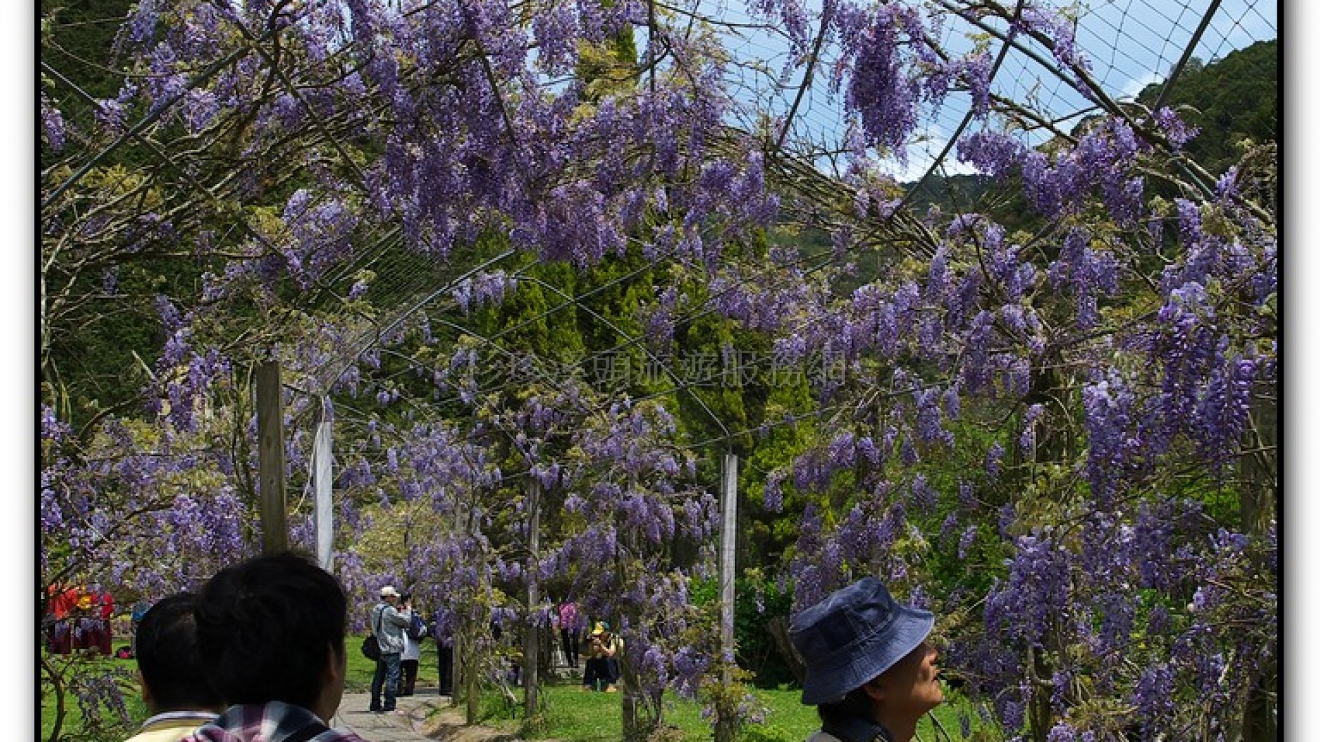 藥花園-杉林溪旅遊景點