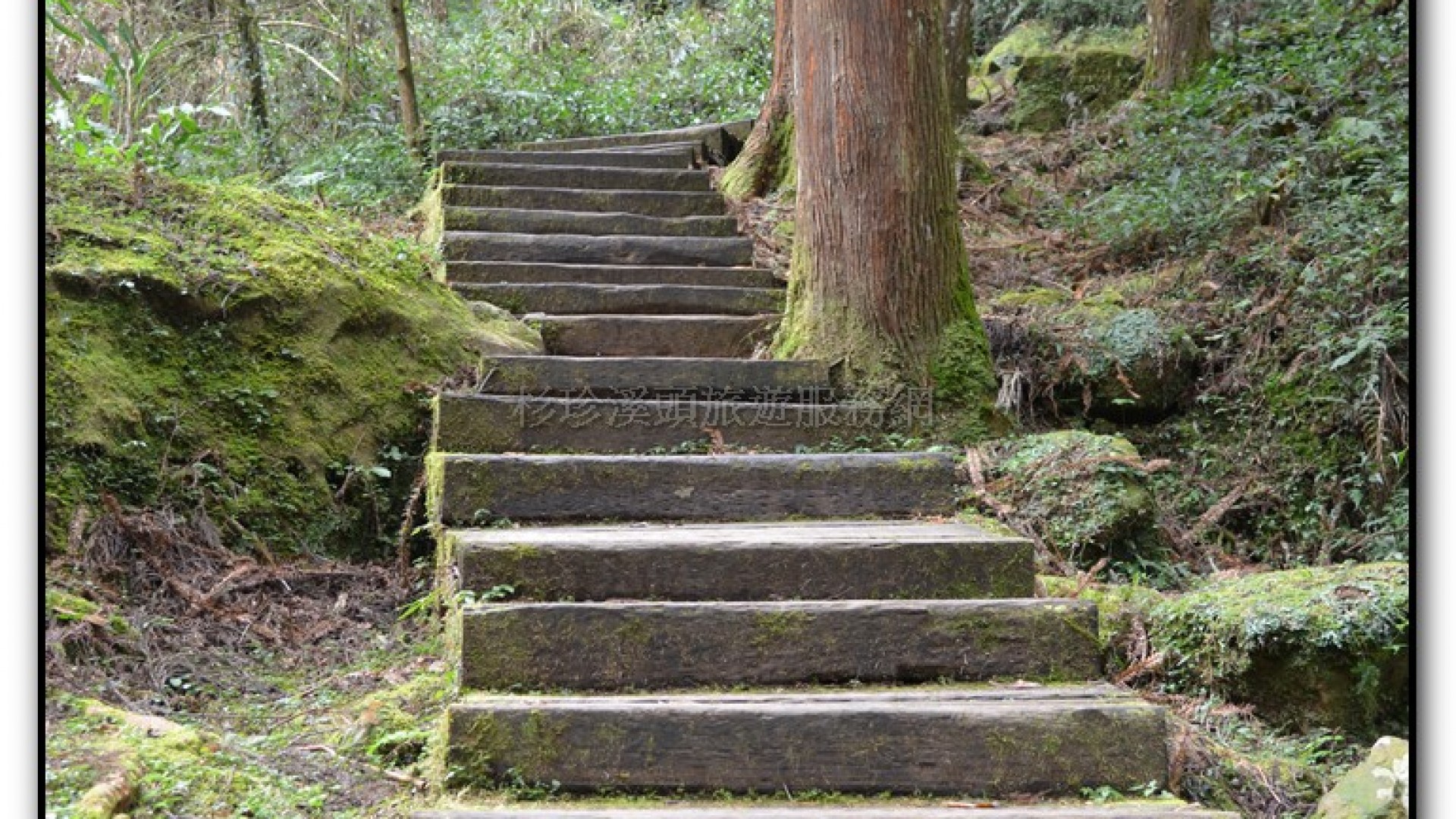 天地眼-杉林溪旅遊景點