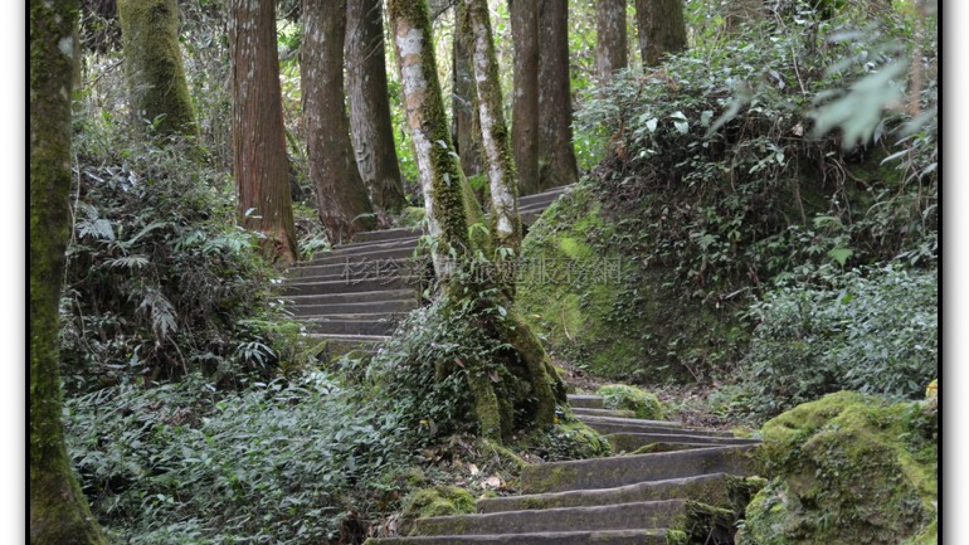 天地眼-杉林溪旅遊景點