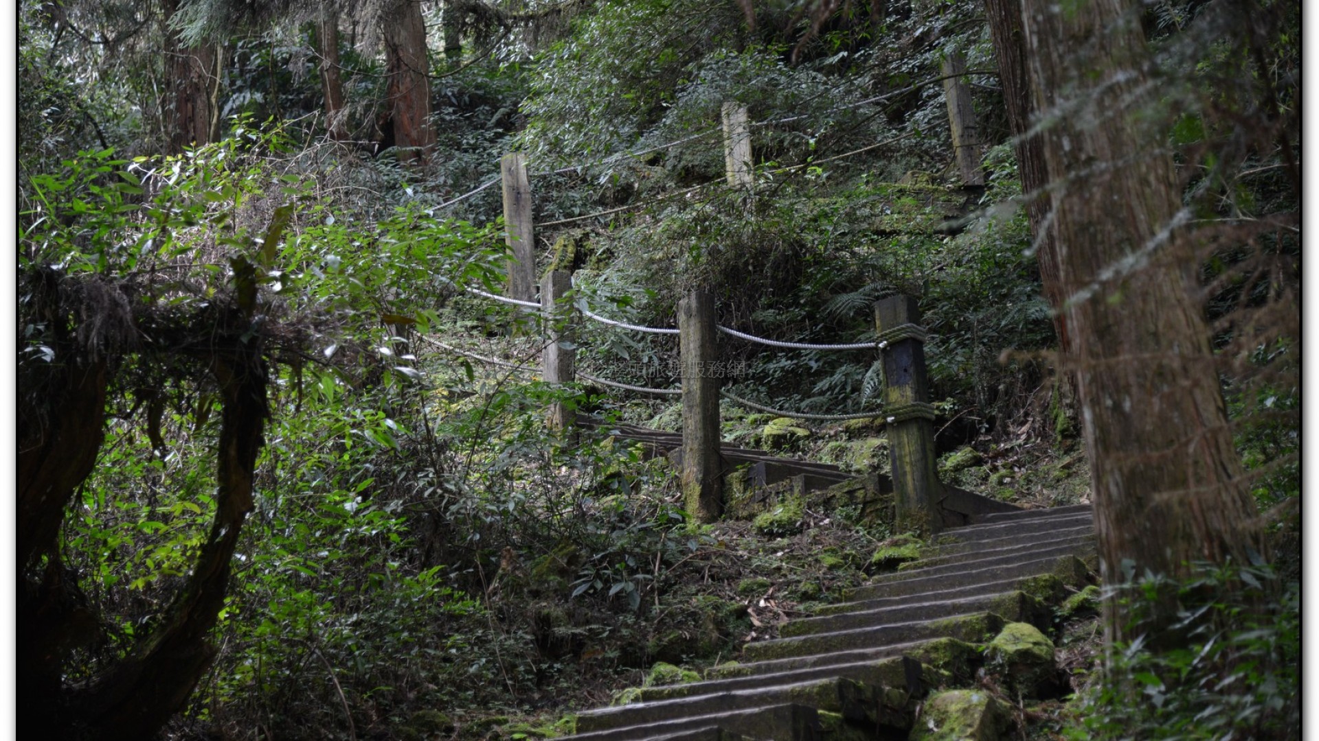 天地眼-杉林溪旅遊景點