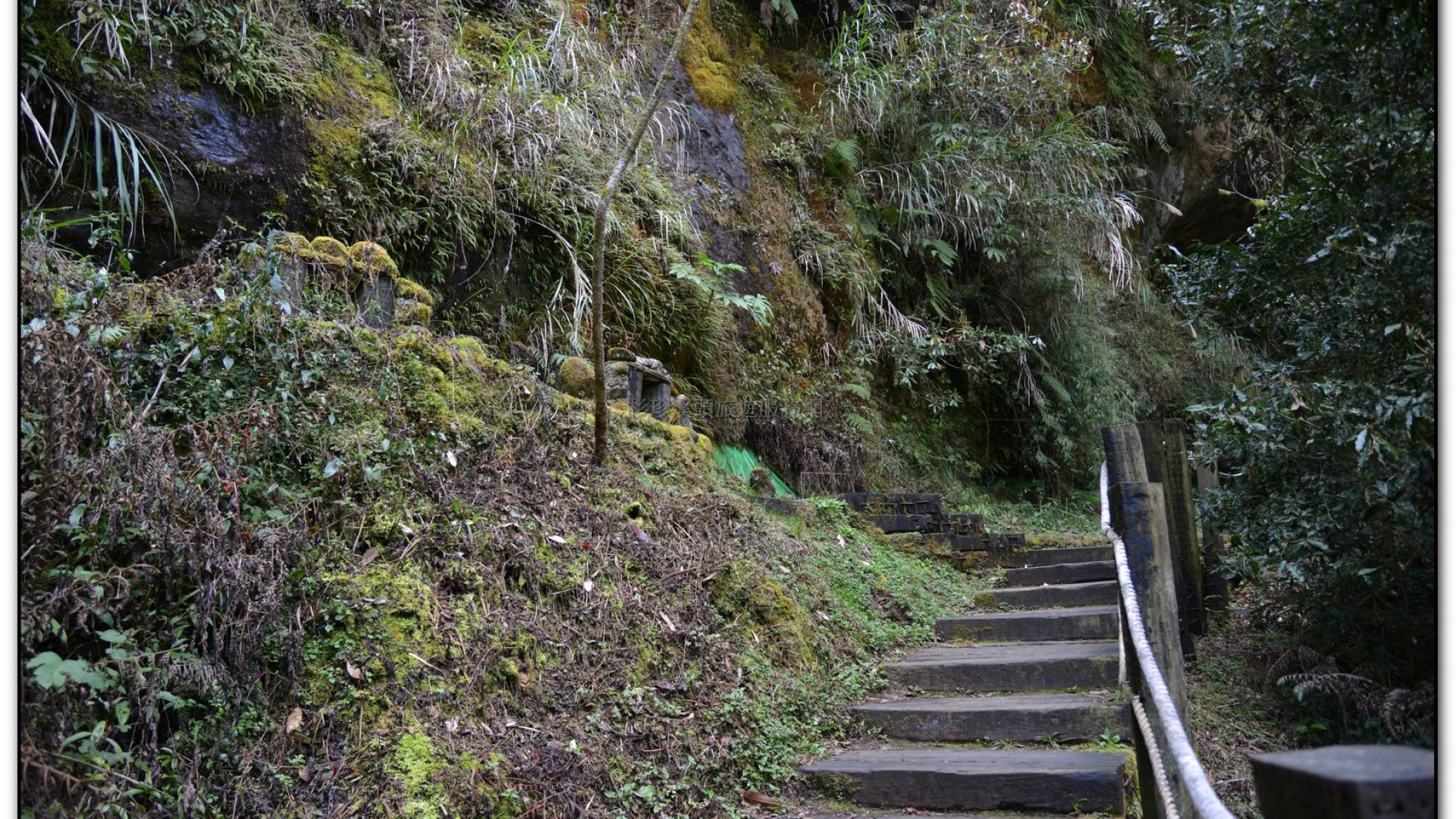 天地眼-杉林溪旅遊景點