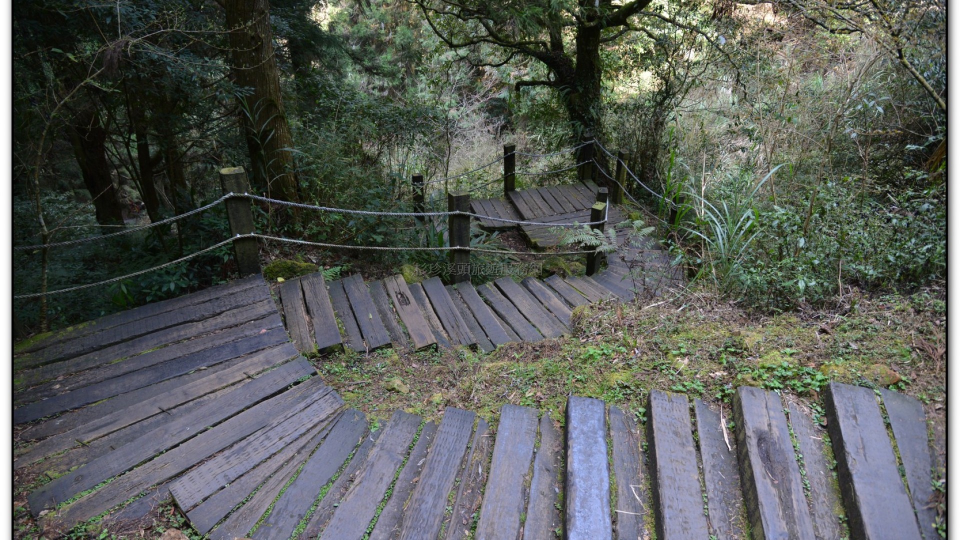 天地眼-杉林溪旅遊景點