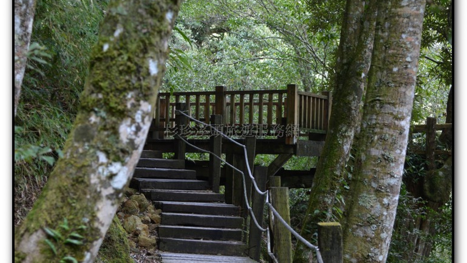 天地眼-杉林溪旅遊景點