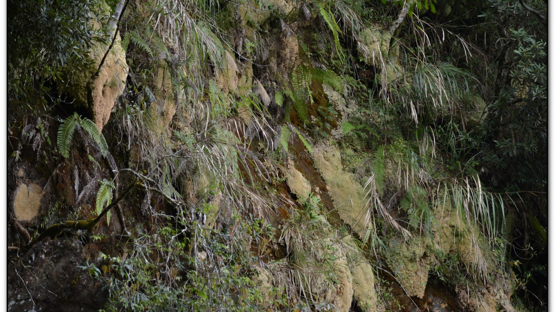 天地眼-杉林溪旅遊景點