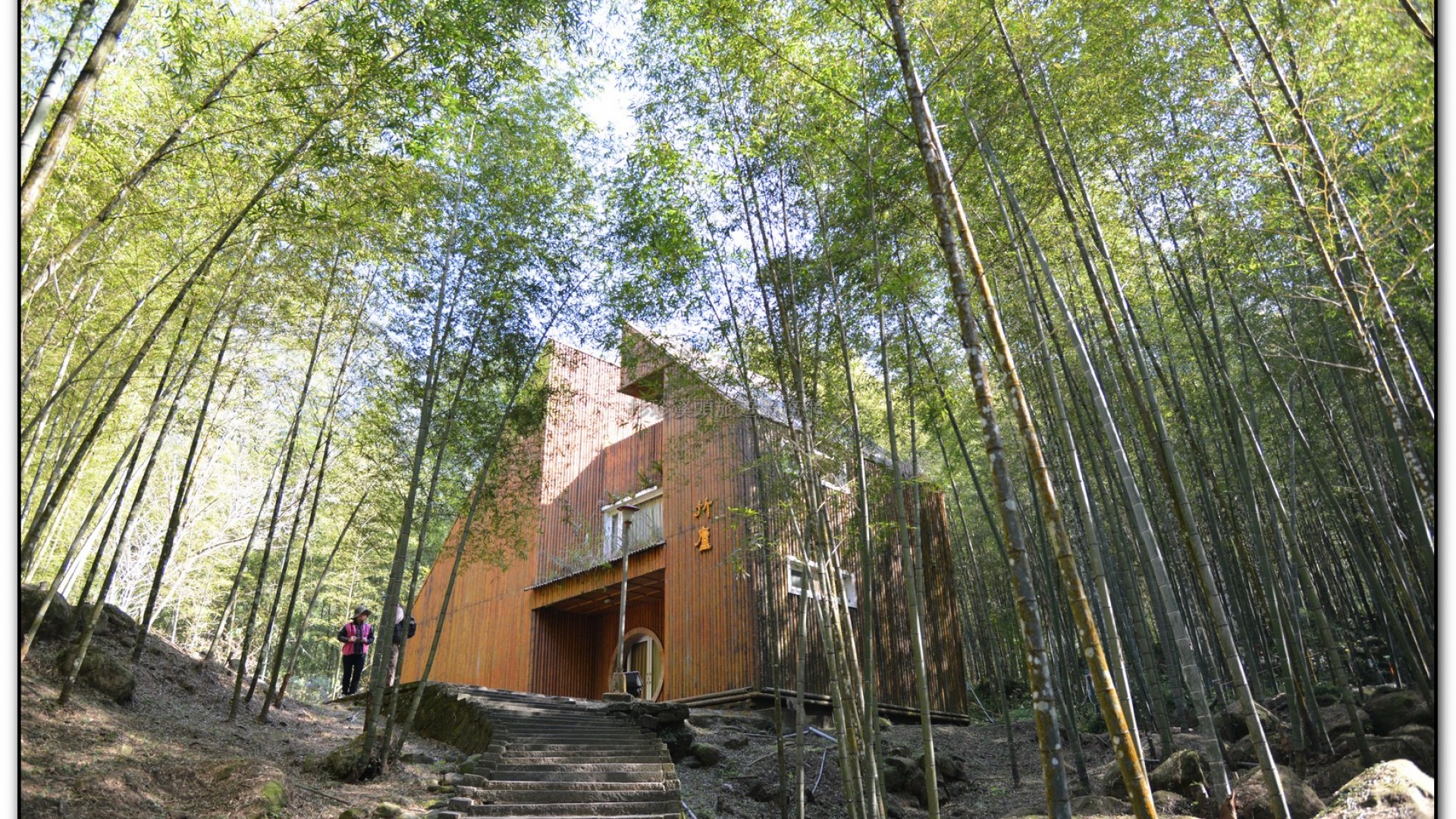 竹蘆-溪頭旅遊景點