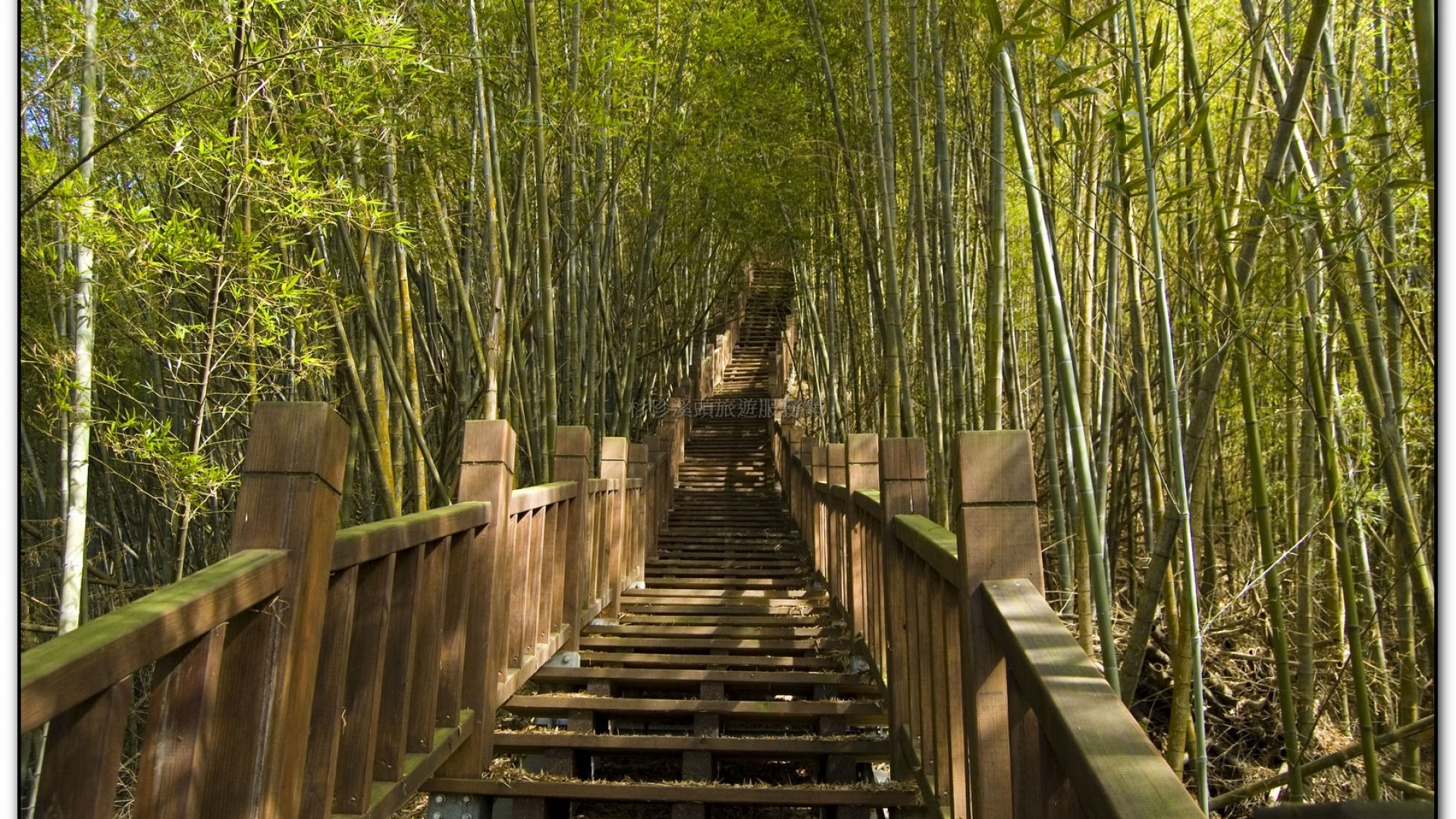 三生緣區-溪頭旅遊景點